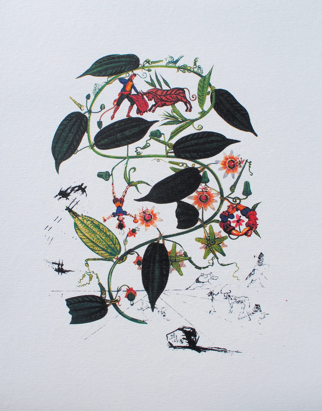 Salvador DALI : Passiflore, 1979, Lithographie signée