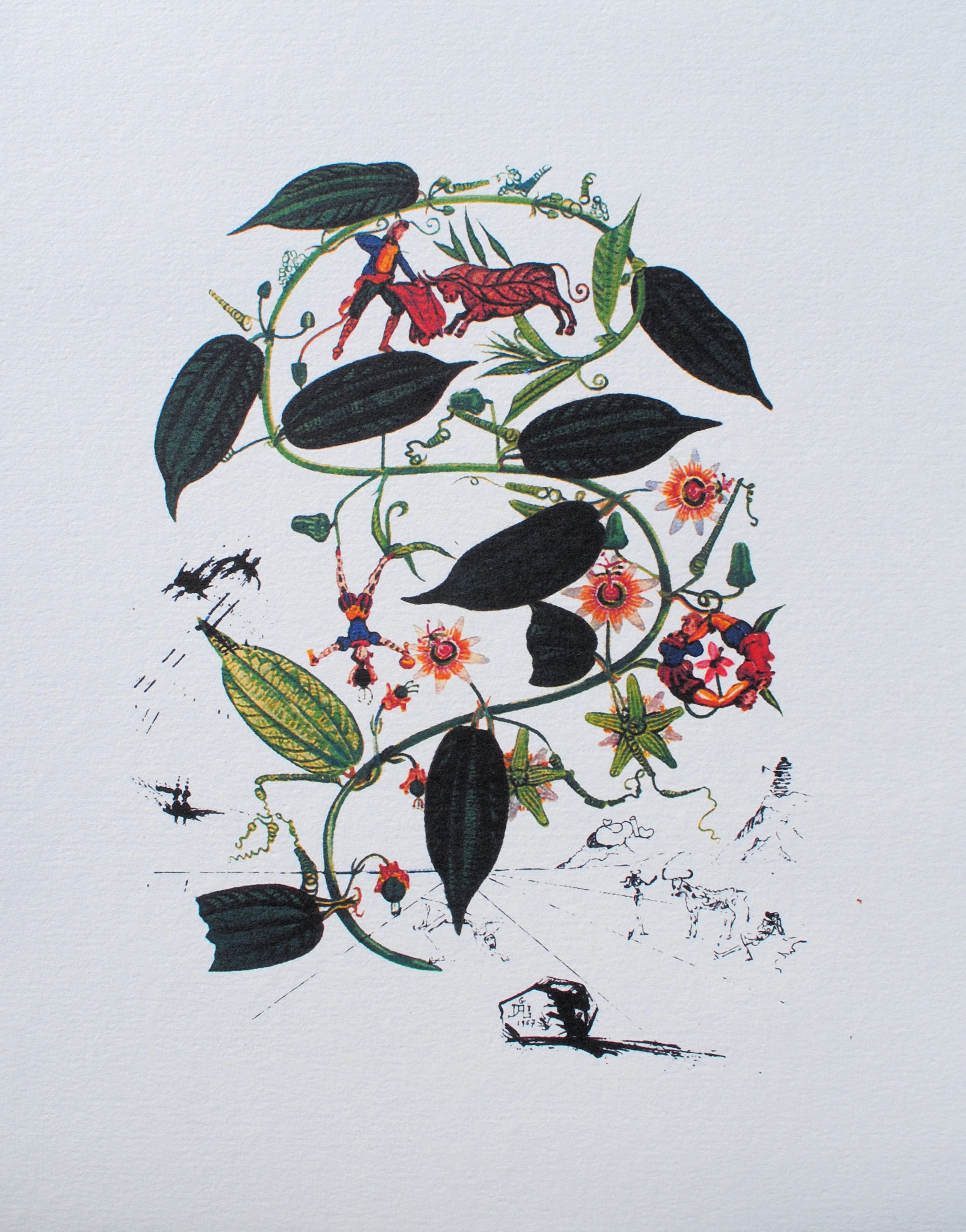 Salvador DALI : Passiflore, 1979, Lithographie signée