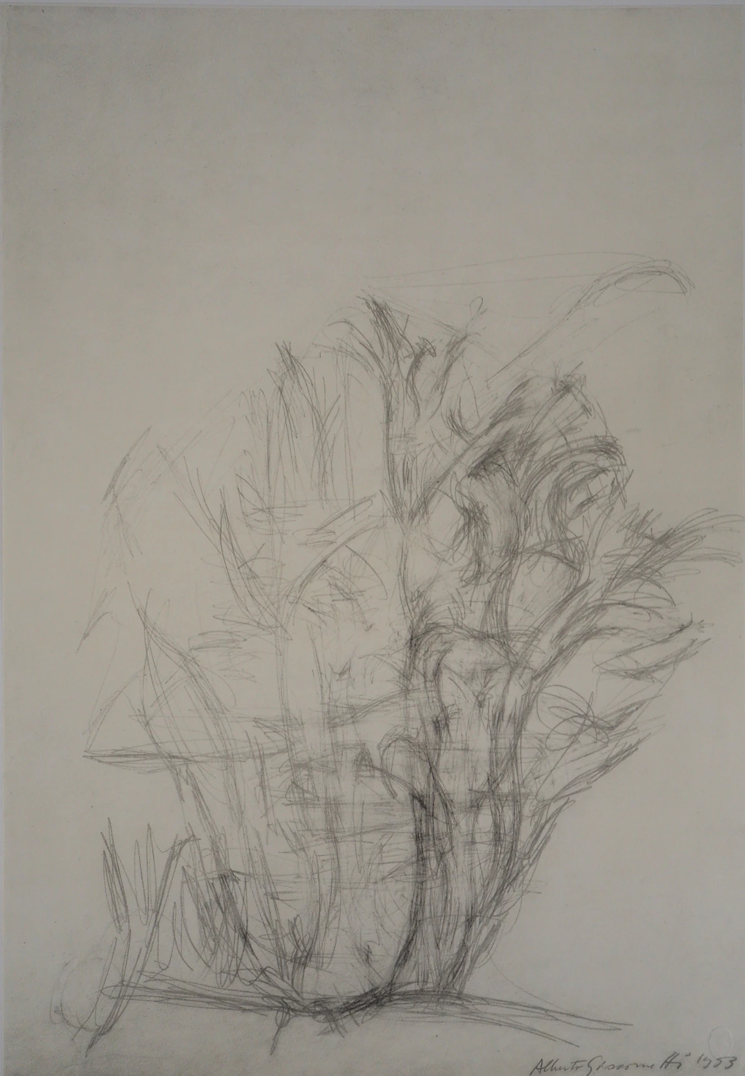 Alberto GIACOMETTI : Arbres - Lithographie signée