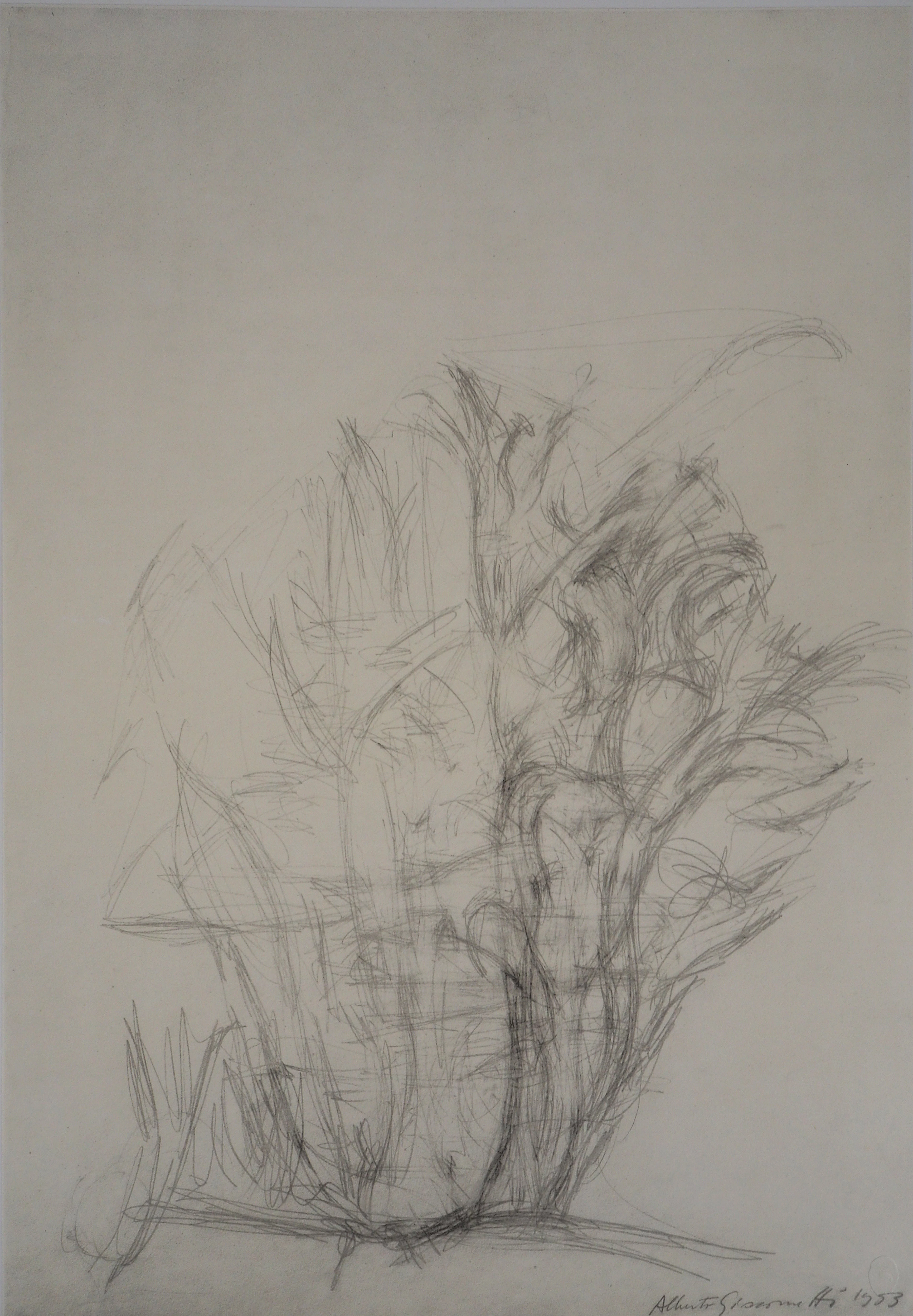 Alberto GIACOMETTI : Arbres - Lithographie signée