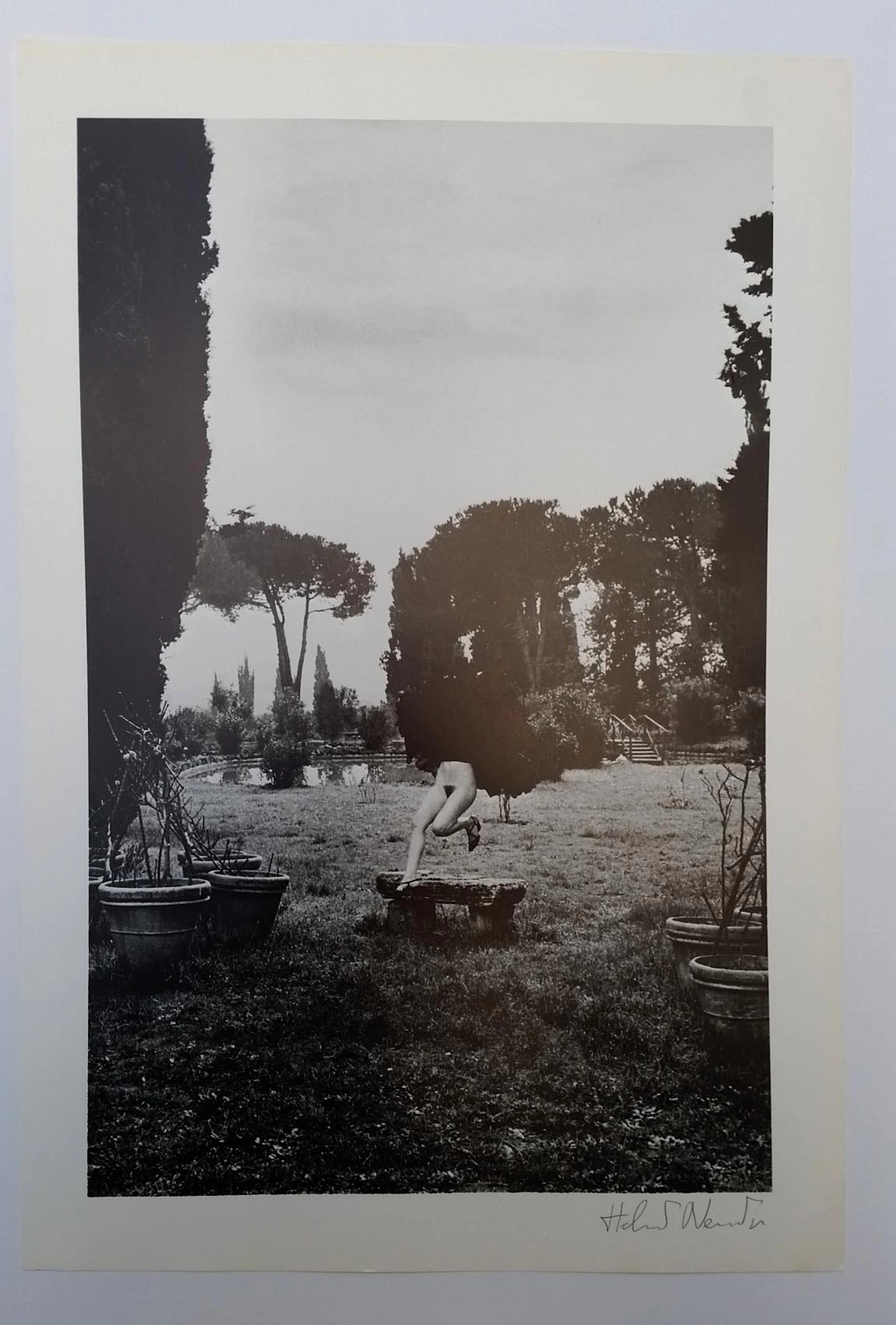 Helmut Newton - In a garden near Rome 1980