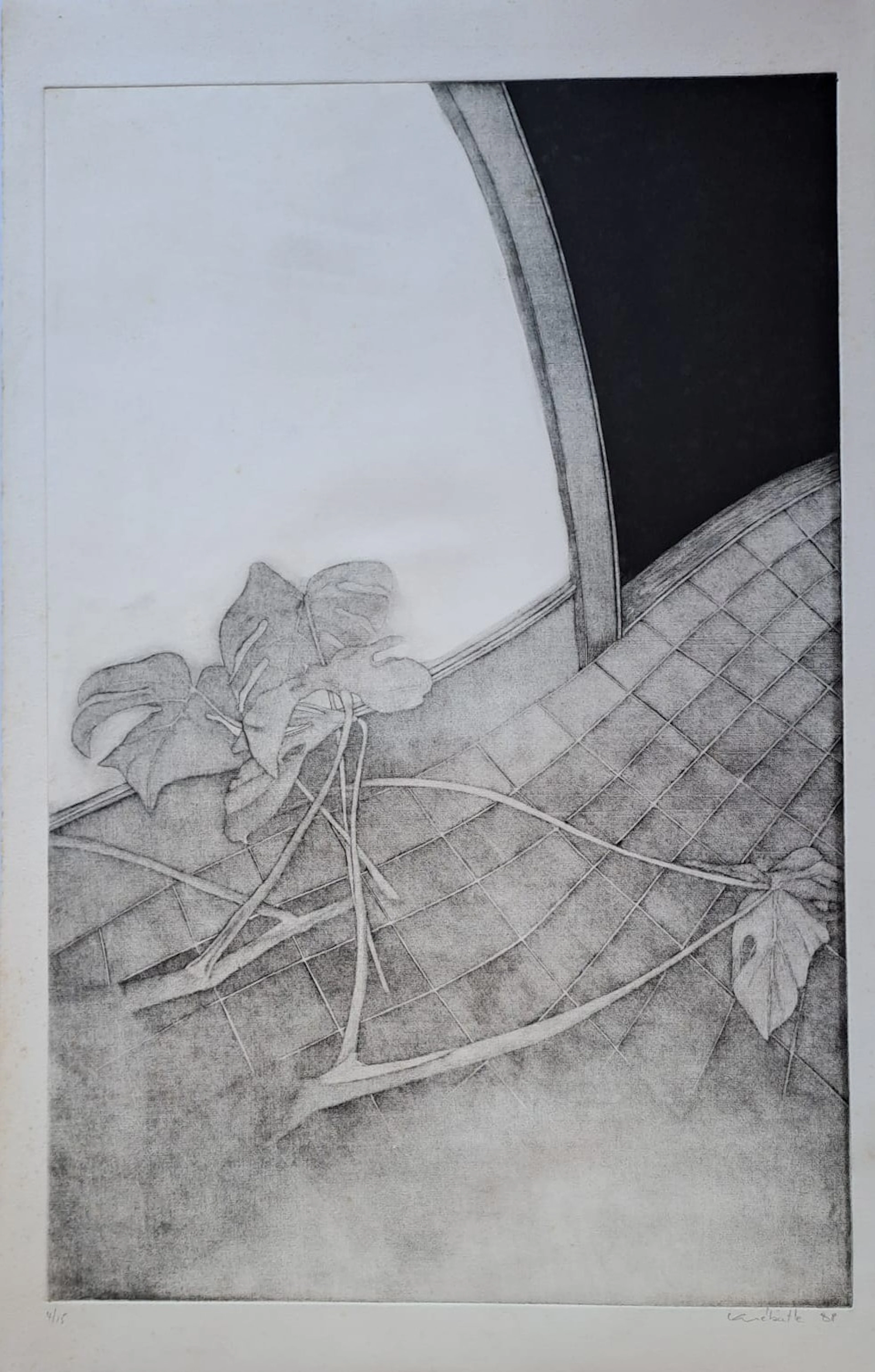Ecole du XXéme siècle - Les branches sur le sol - Lithographie originale