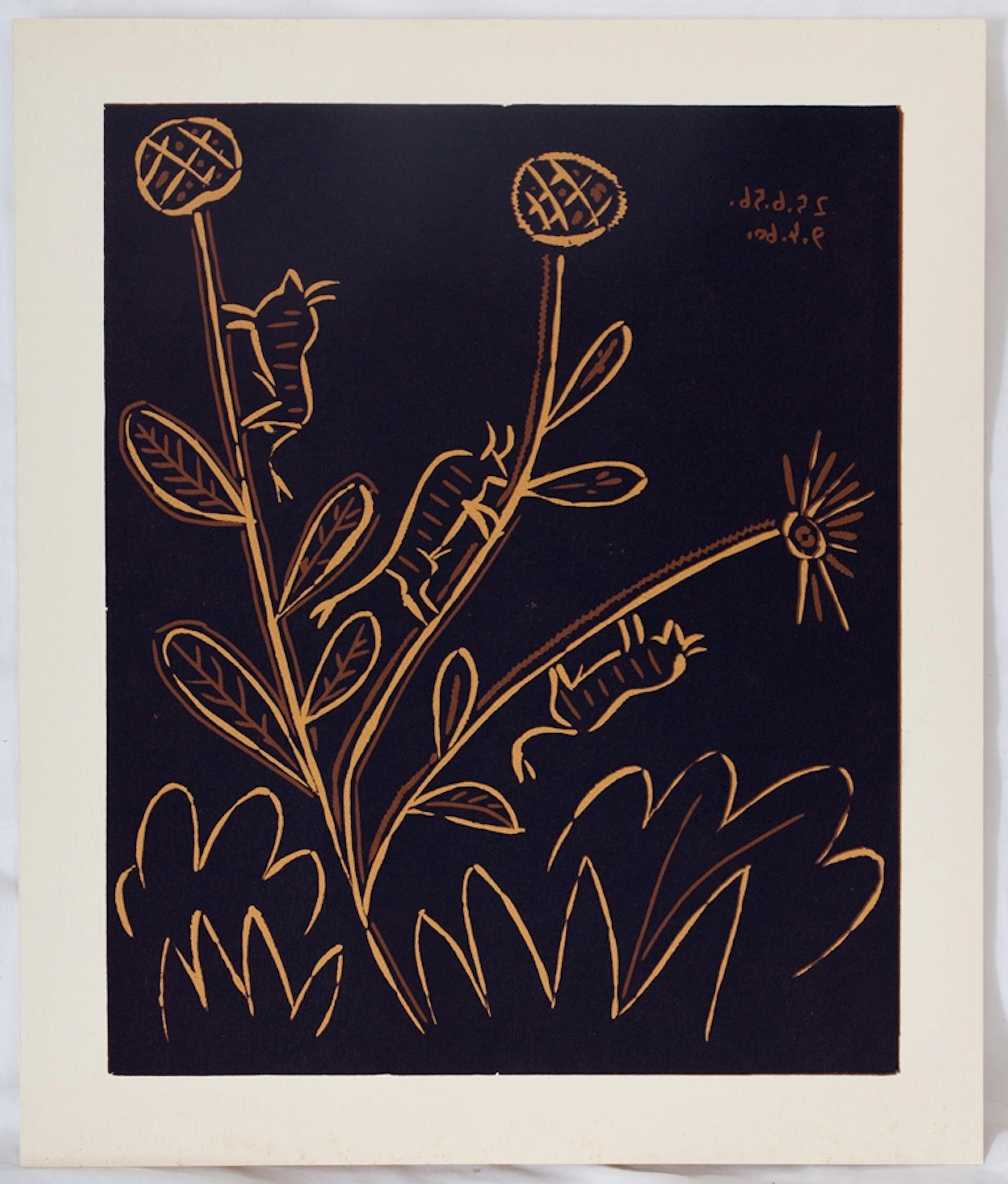 Pablo PICASSO : Plante aux toritos - Linogravure (1962)