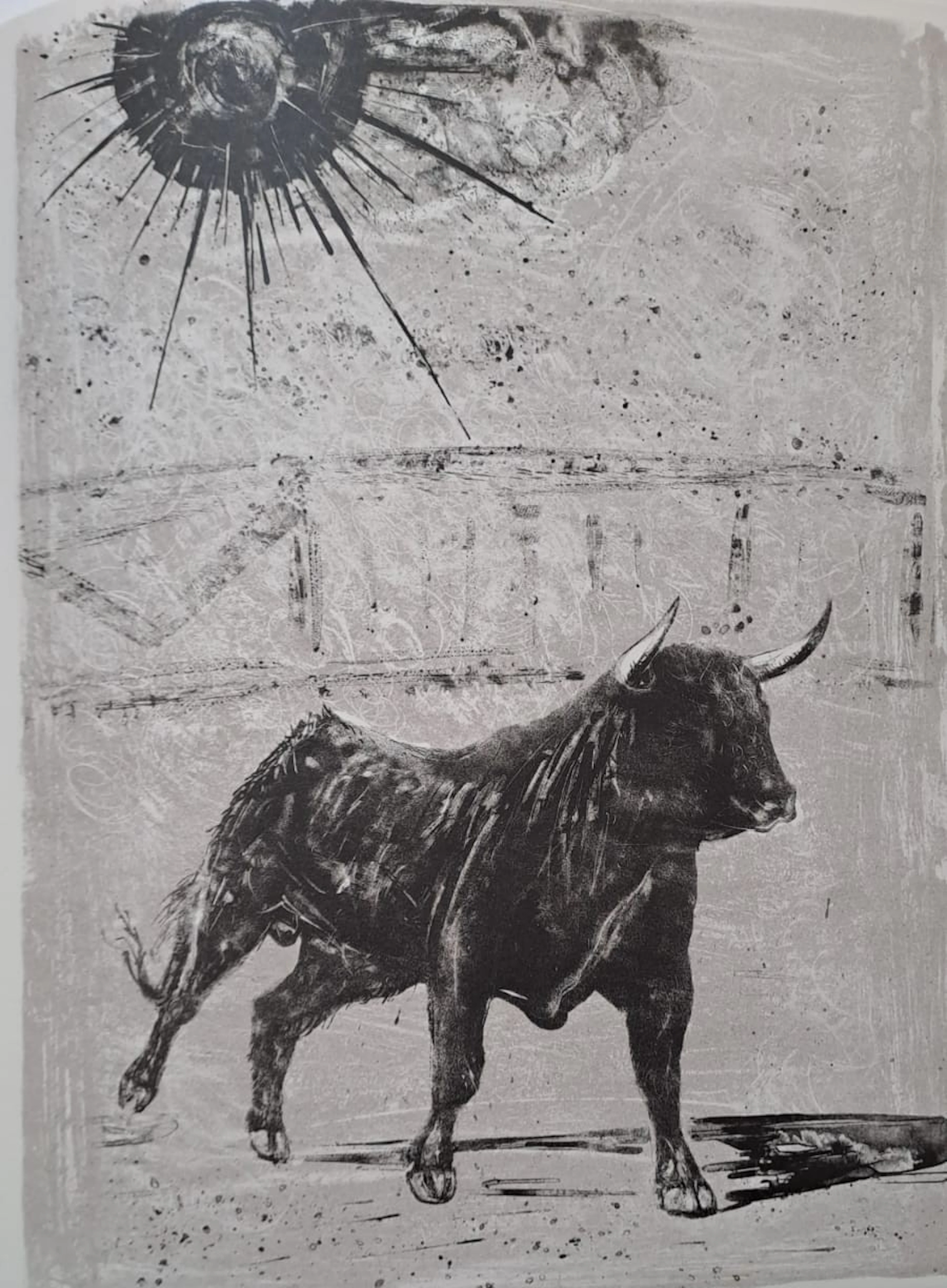 Jacques Birr - El torinus furor - Lithographie originale