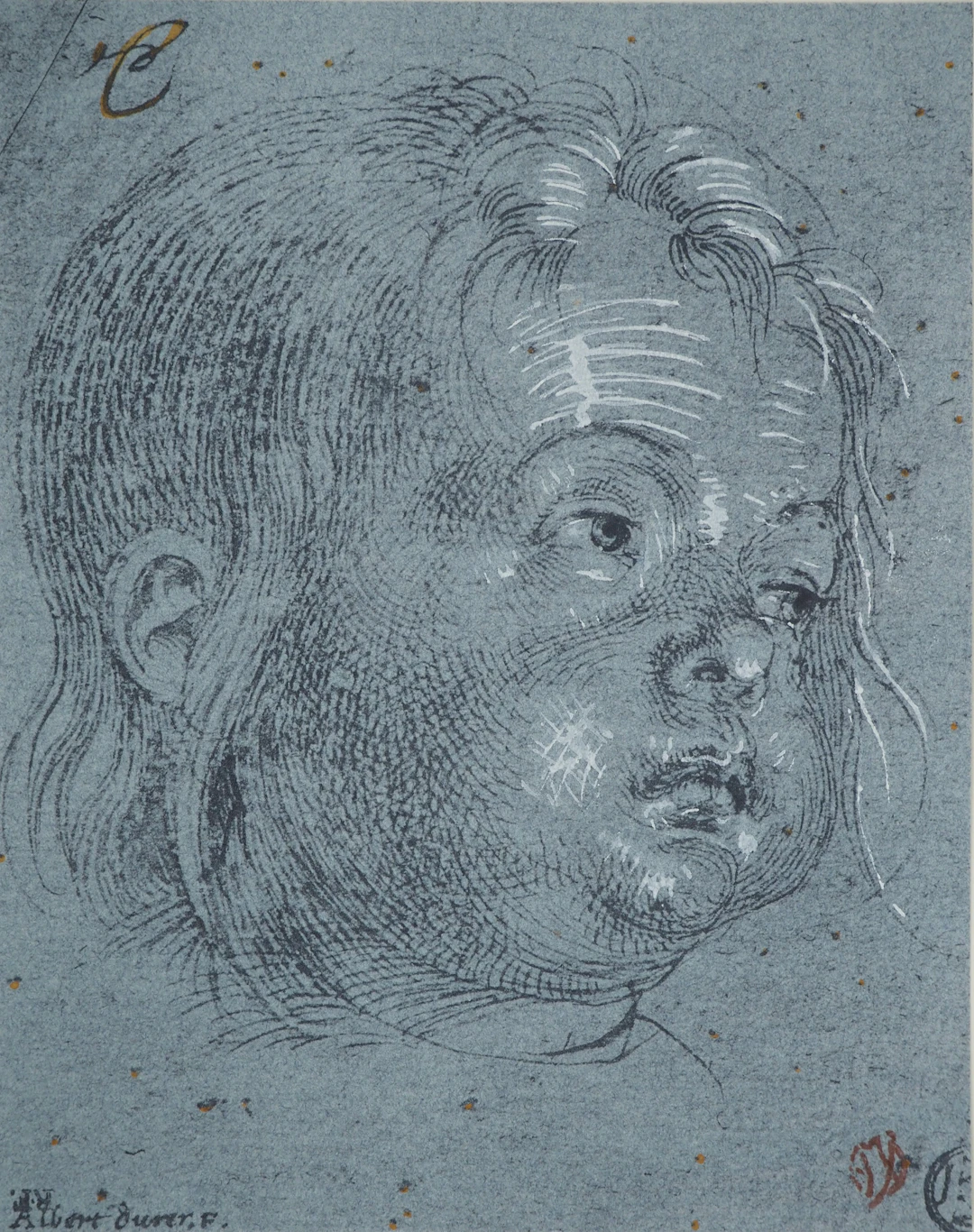 Albert DURER (d’après) - Enfant de profil - Lithographie signée