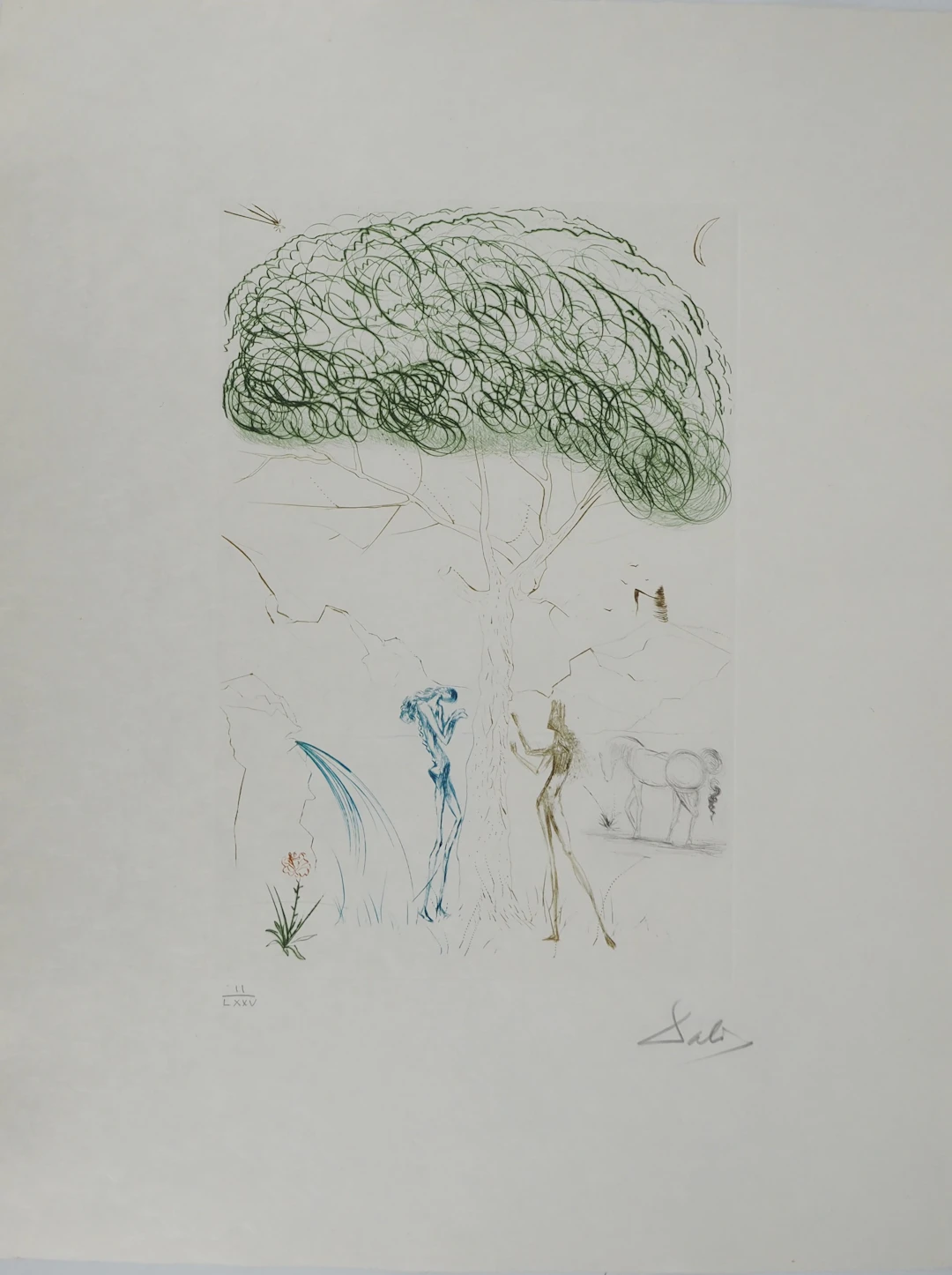 Salvador DALI : Sous le pin parasol, Gravure originale signée