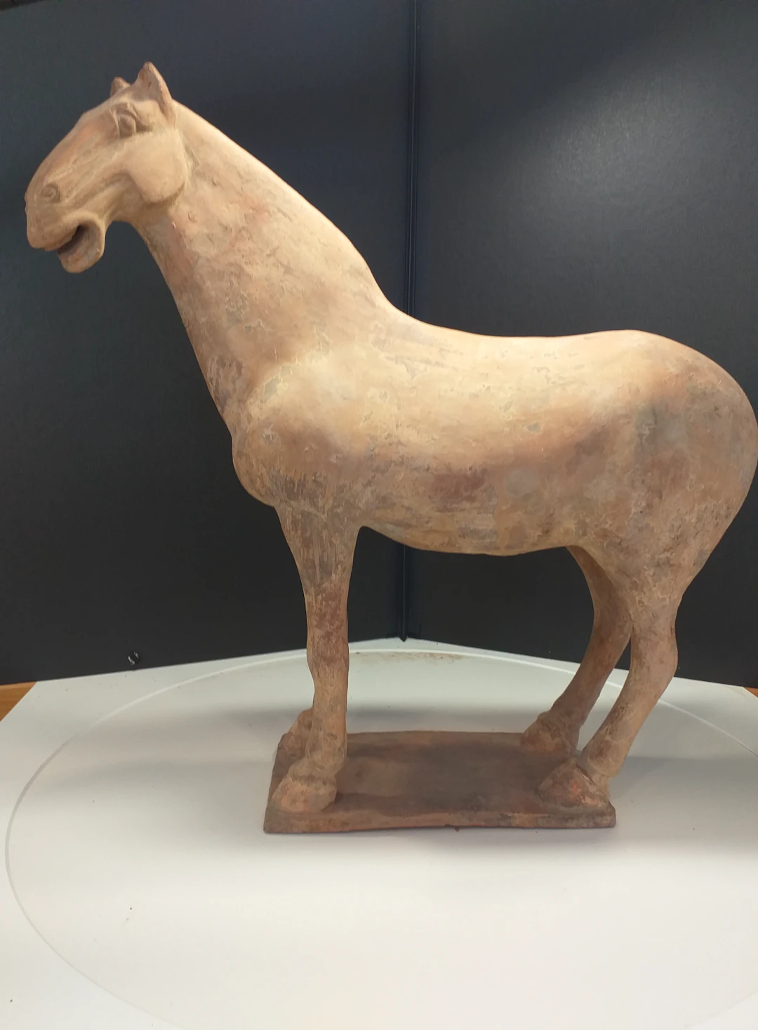 Chine, époque Tang - Cheval. Terre cuite