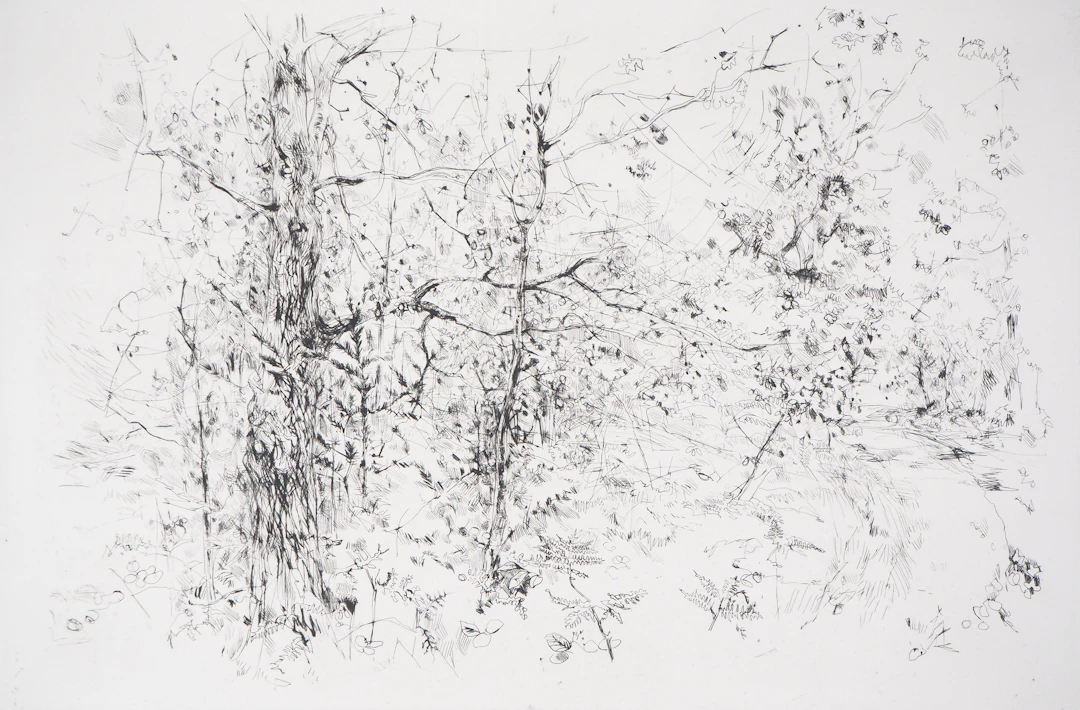 Yves- Jean COMMERE : L’orée de la forêt - Gravure originale signée