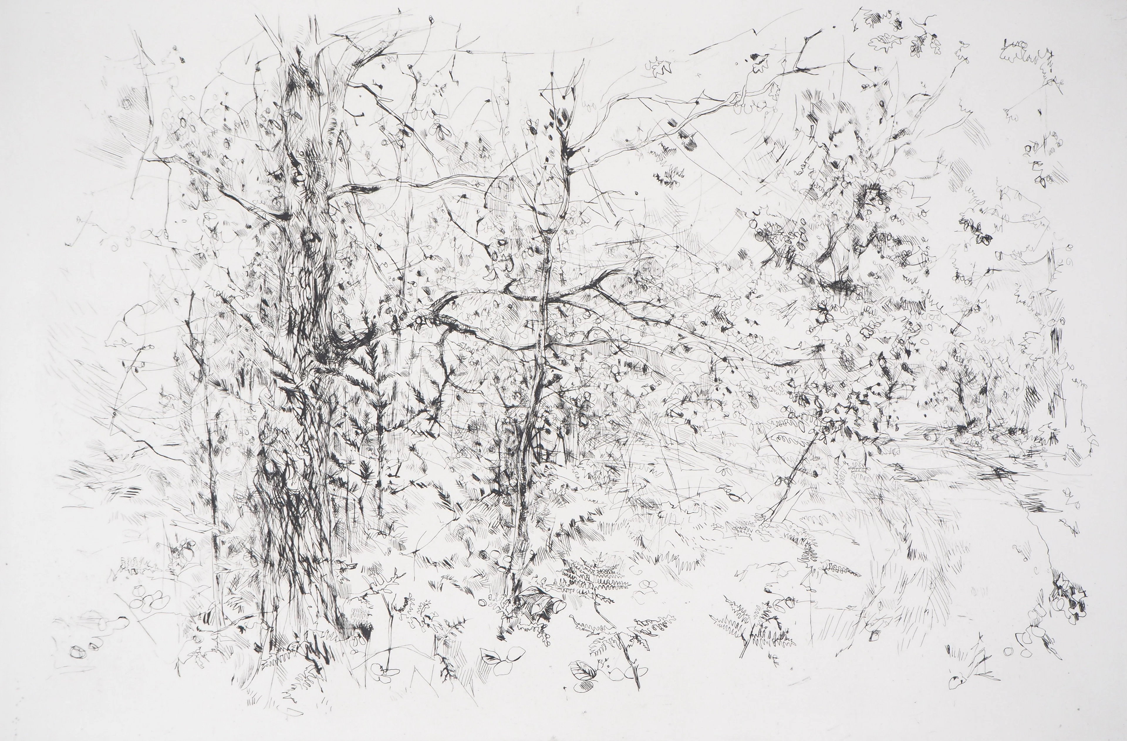 Yves- Jean COMMERE : L’orée de la forêt - Gravure originale signée