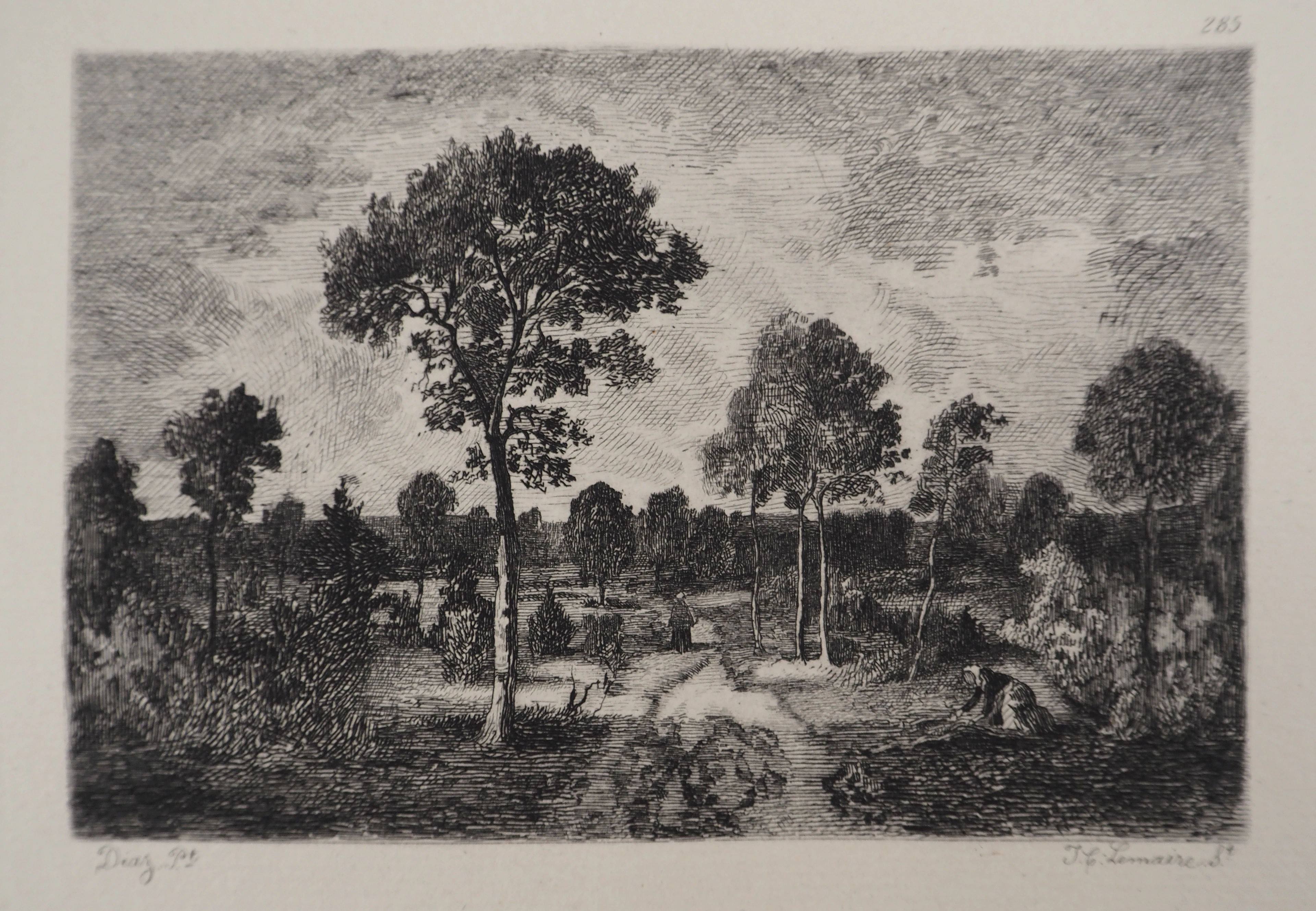 Narcisse DIAZ de la PENA : Champs à Fontainebleau - Gravure, Signée