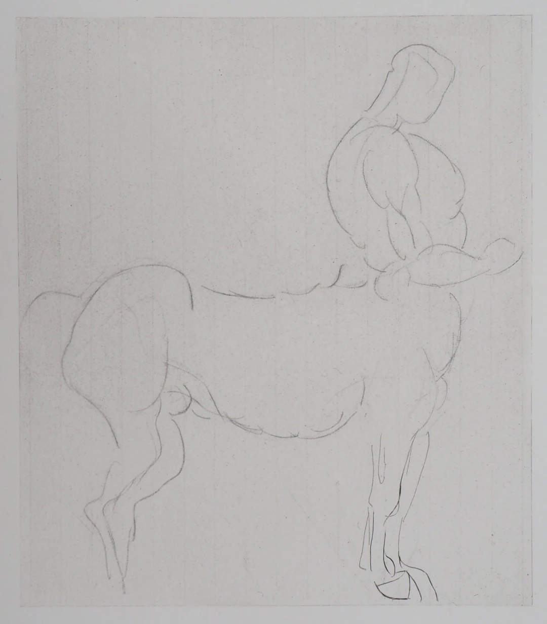 Auguste RODIN (d’après) : Centaure - Gravure, 1897