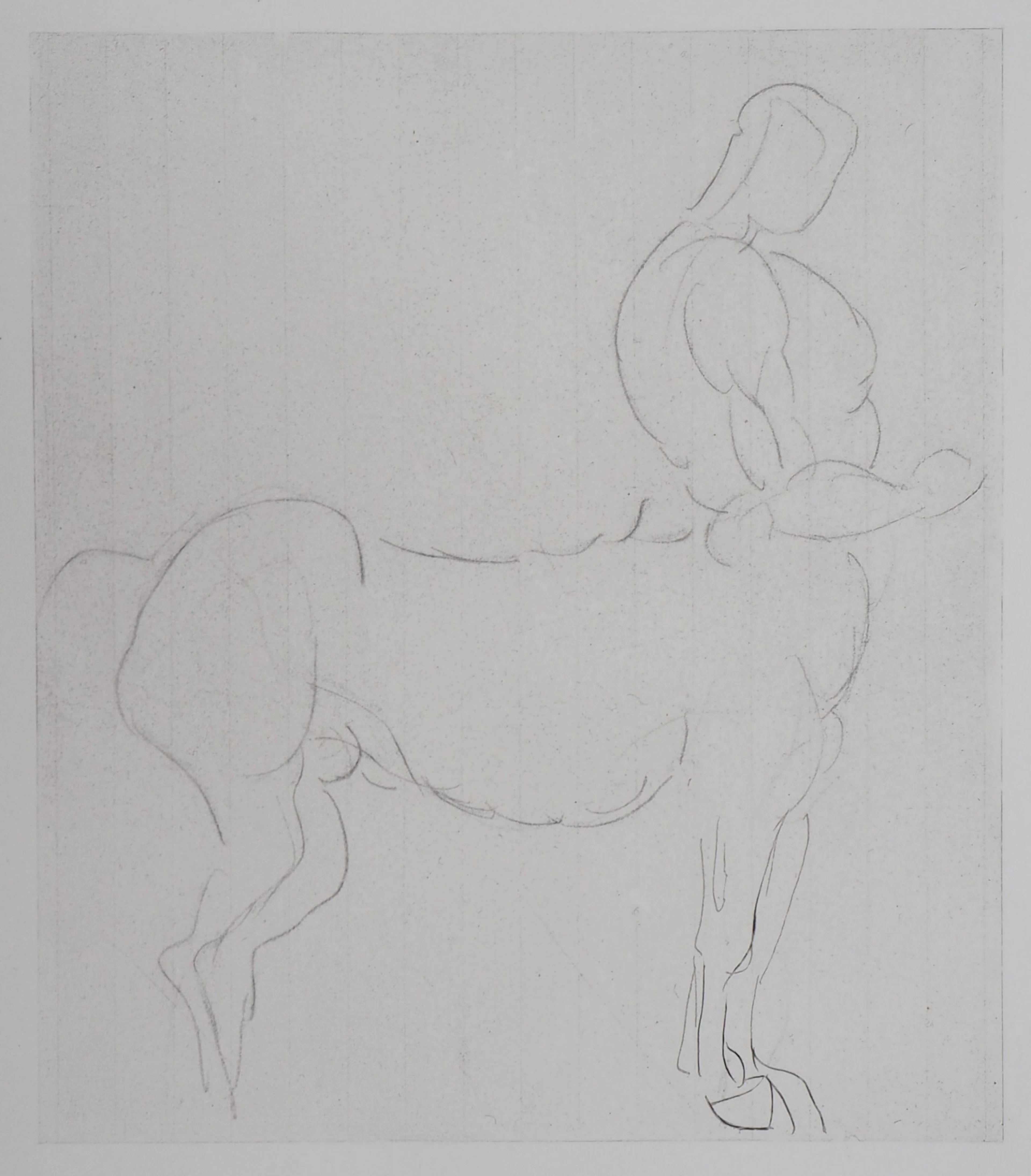 Auguste RODIN (d’après) : Centaure - Gravure, 1897