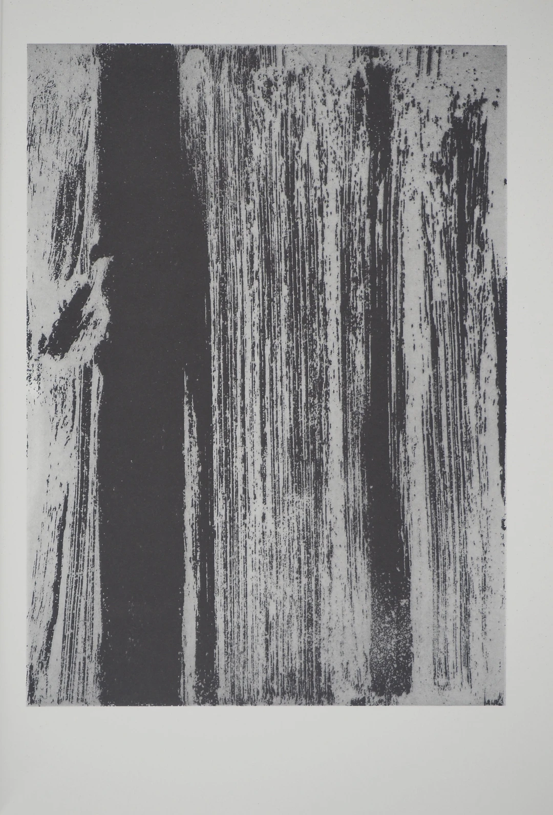 Olivier DEBRE : Signe paysage, Héliogravure