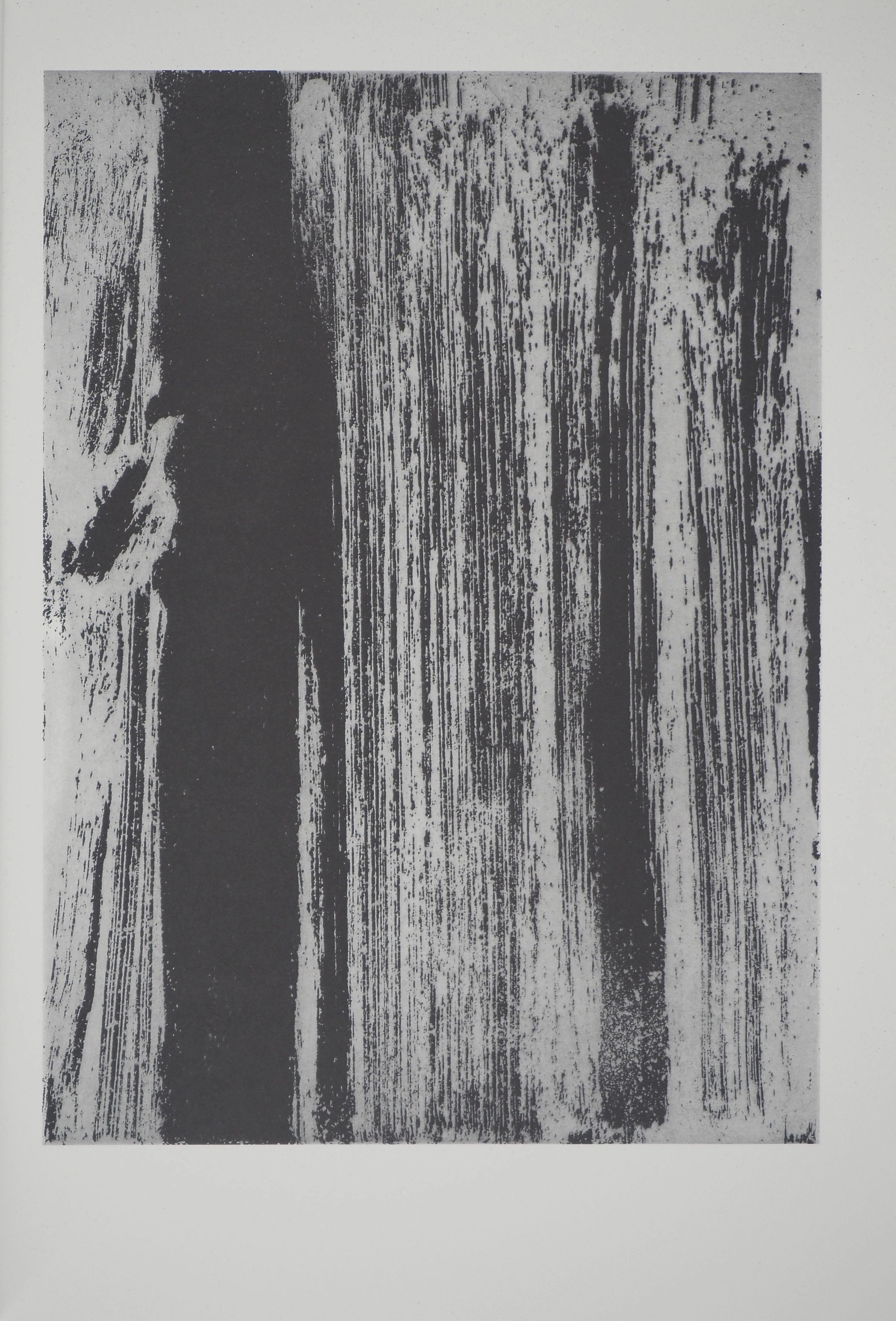 Olivier DEBRE : Signe paysage, Héliogravure