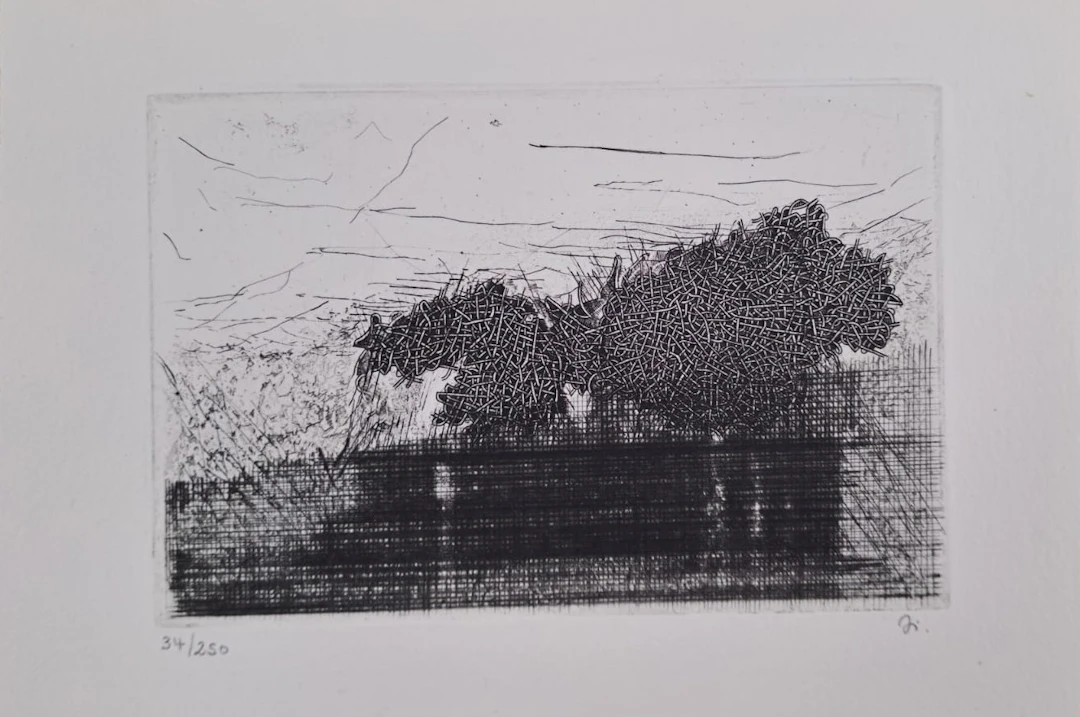 Lise Lierhammer - Paysage, 1988 - Burin et pointe sèche