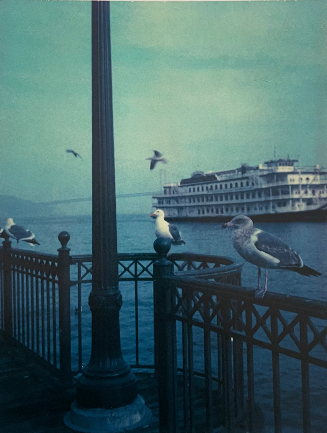 Marion BARAT - Pier 39, San Francisco, 2008 - Tirage numérique