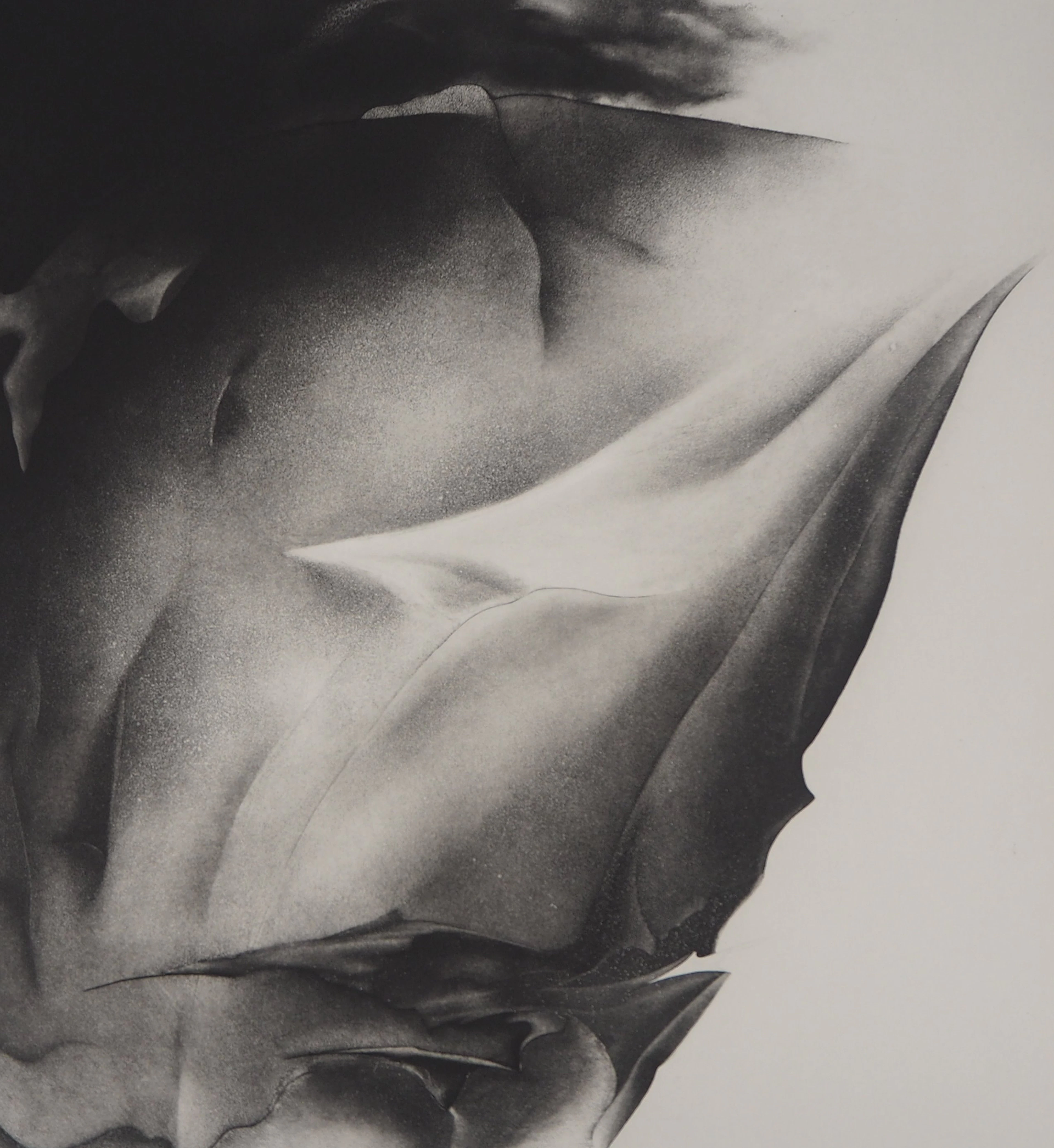 Jean-Luc FAUVEL : Pétale surréaliste (A mes deux oiseaux), 1982 -