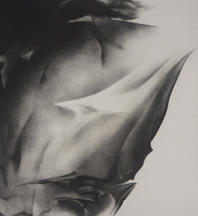 Jean-Luc FAUVEL : Pétale surréaliste (A mes deux oiseaux), 1982 -