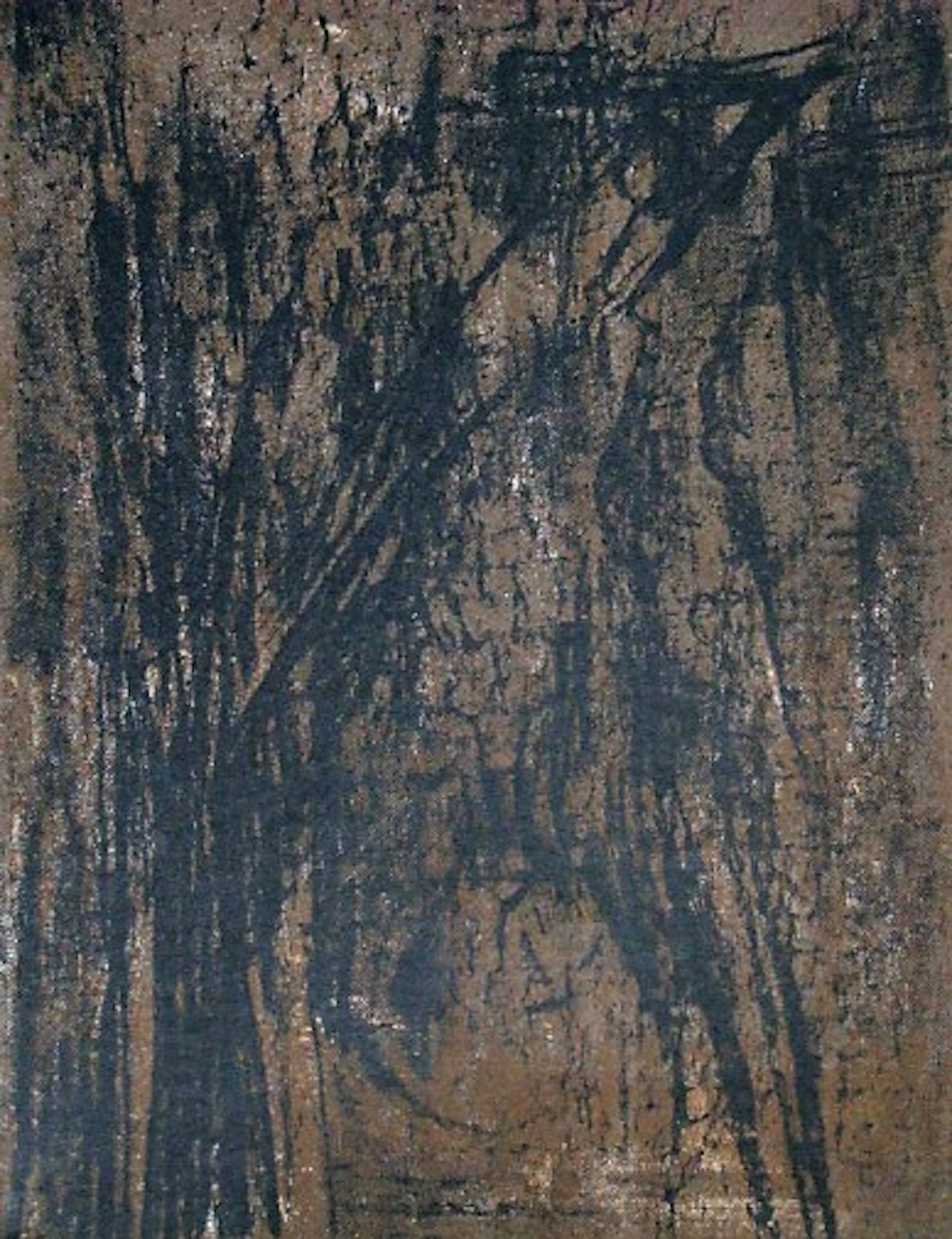 Maria Helena VIEIRA DA SILVA - Brune,1962 - Lithographie originale