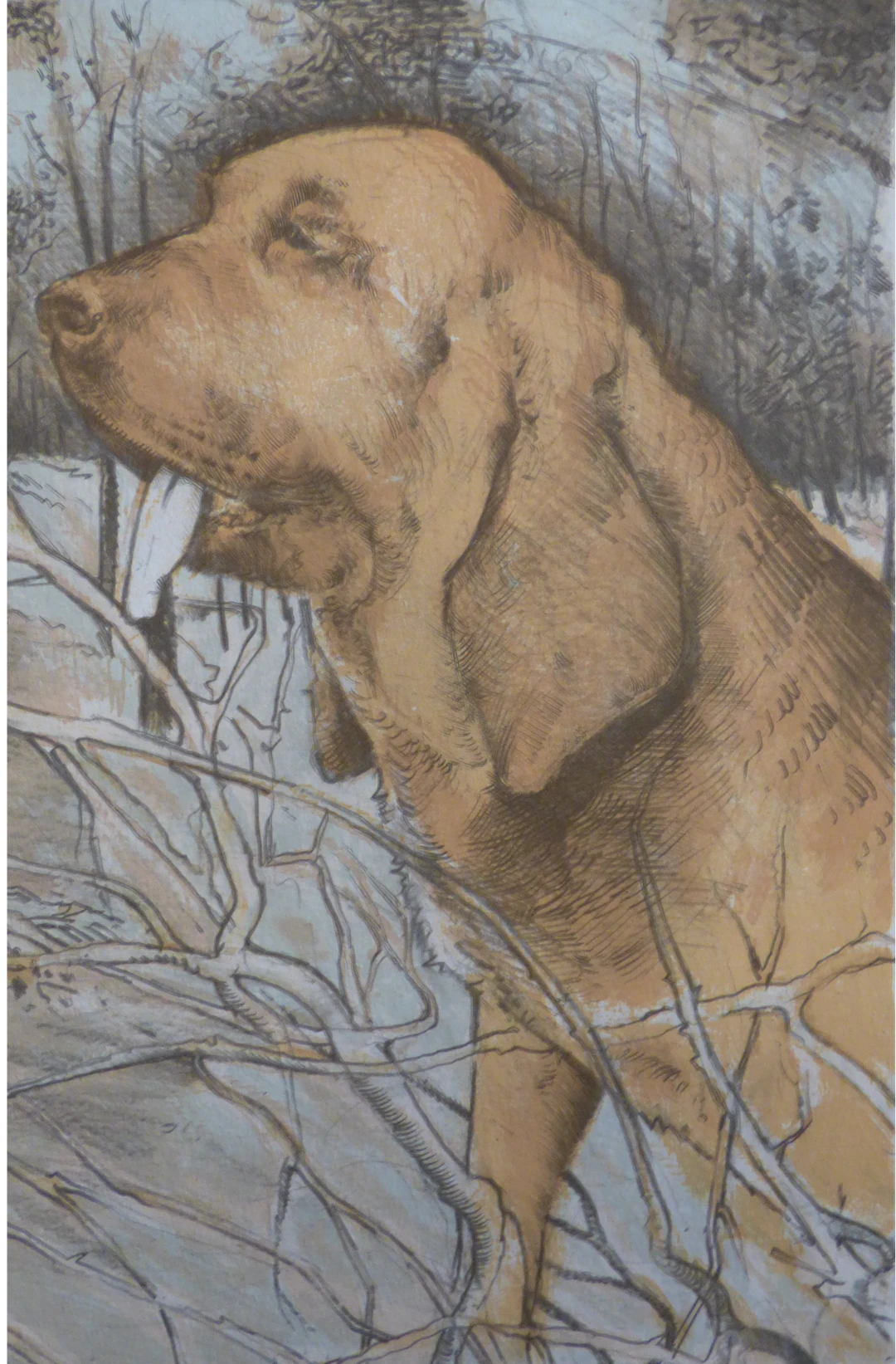 Blaise PRUD’HON - Le chien - Lithographie originale signée