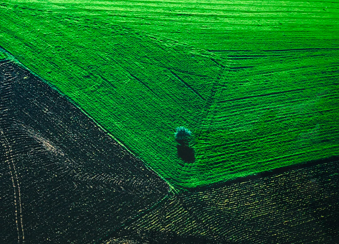Yann ARTHUS-BERTRAND - Terres agricoles, 2005 - Photographie signée