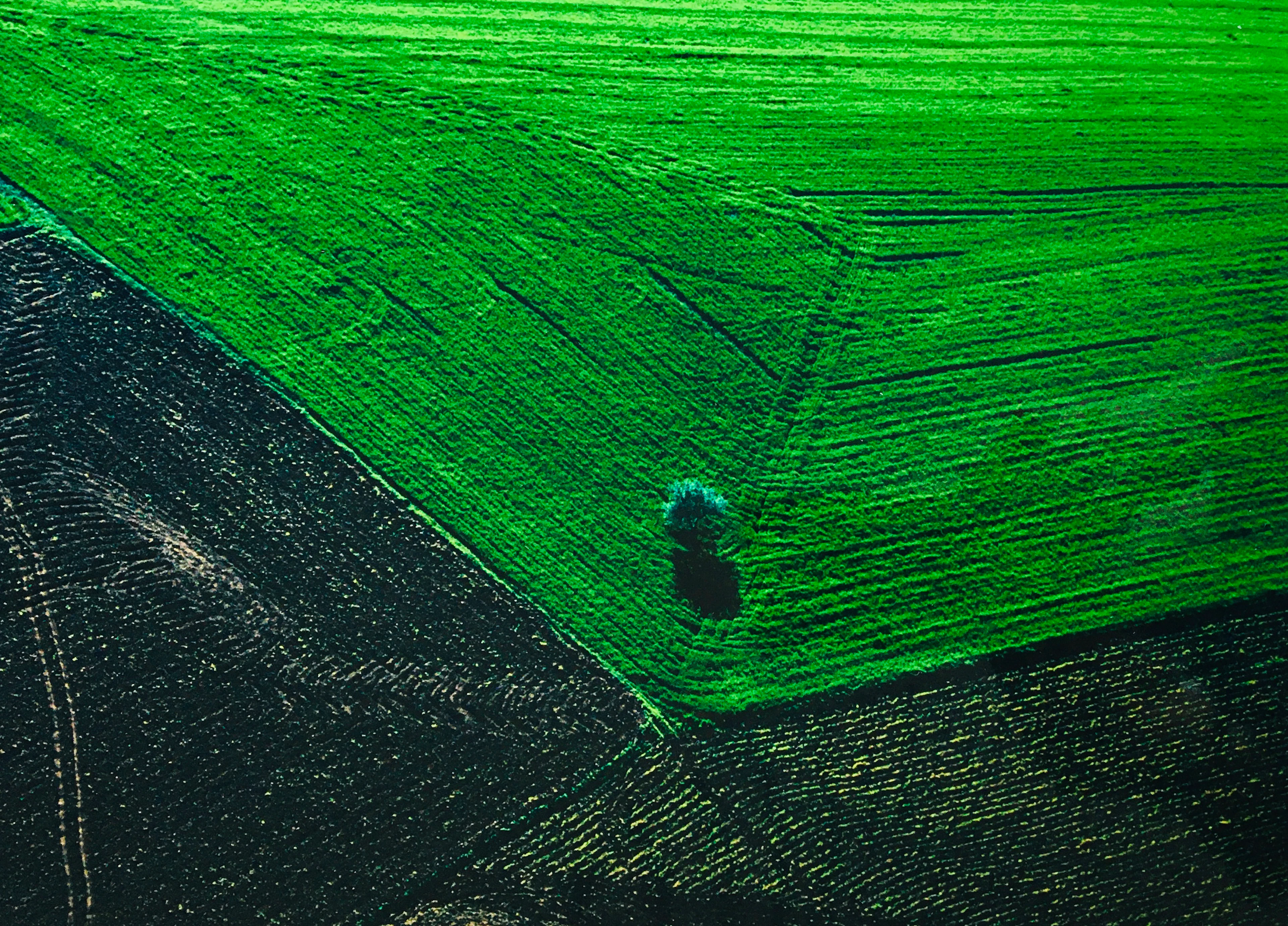 Yann ARTHUS-BERTRAND - Terres agricoles, 2005 - Photographie signée