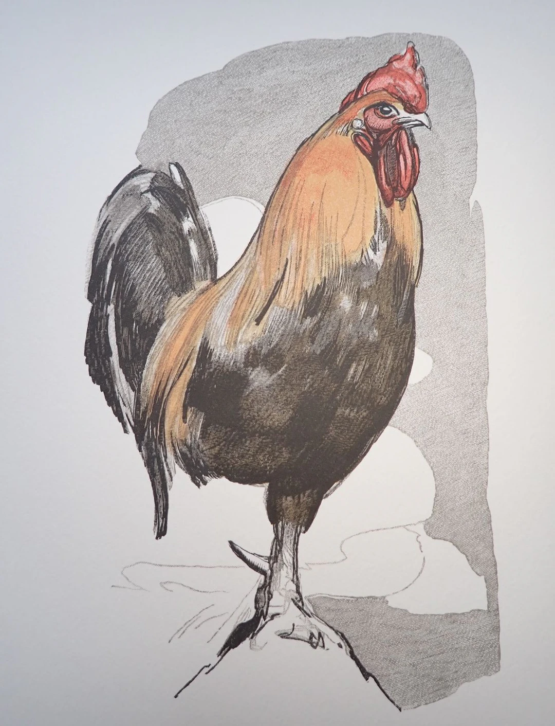 Paul JOUVE - Le coq - Gravure sur bois