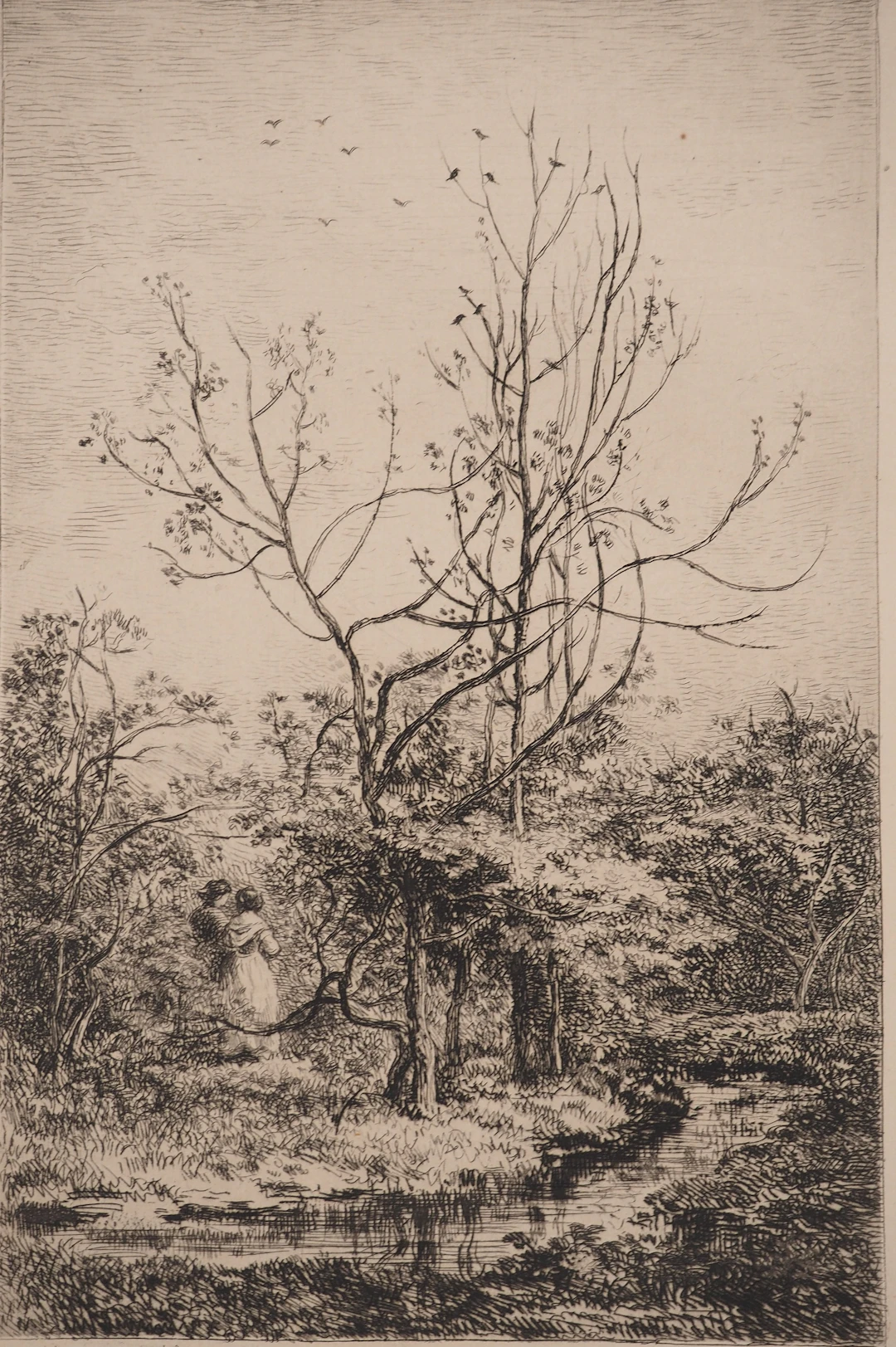 Charles François DAUBIGNY : Le verger, Gravure originale signée