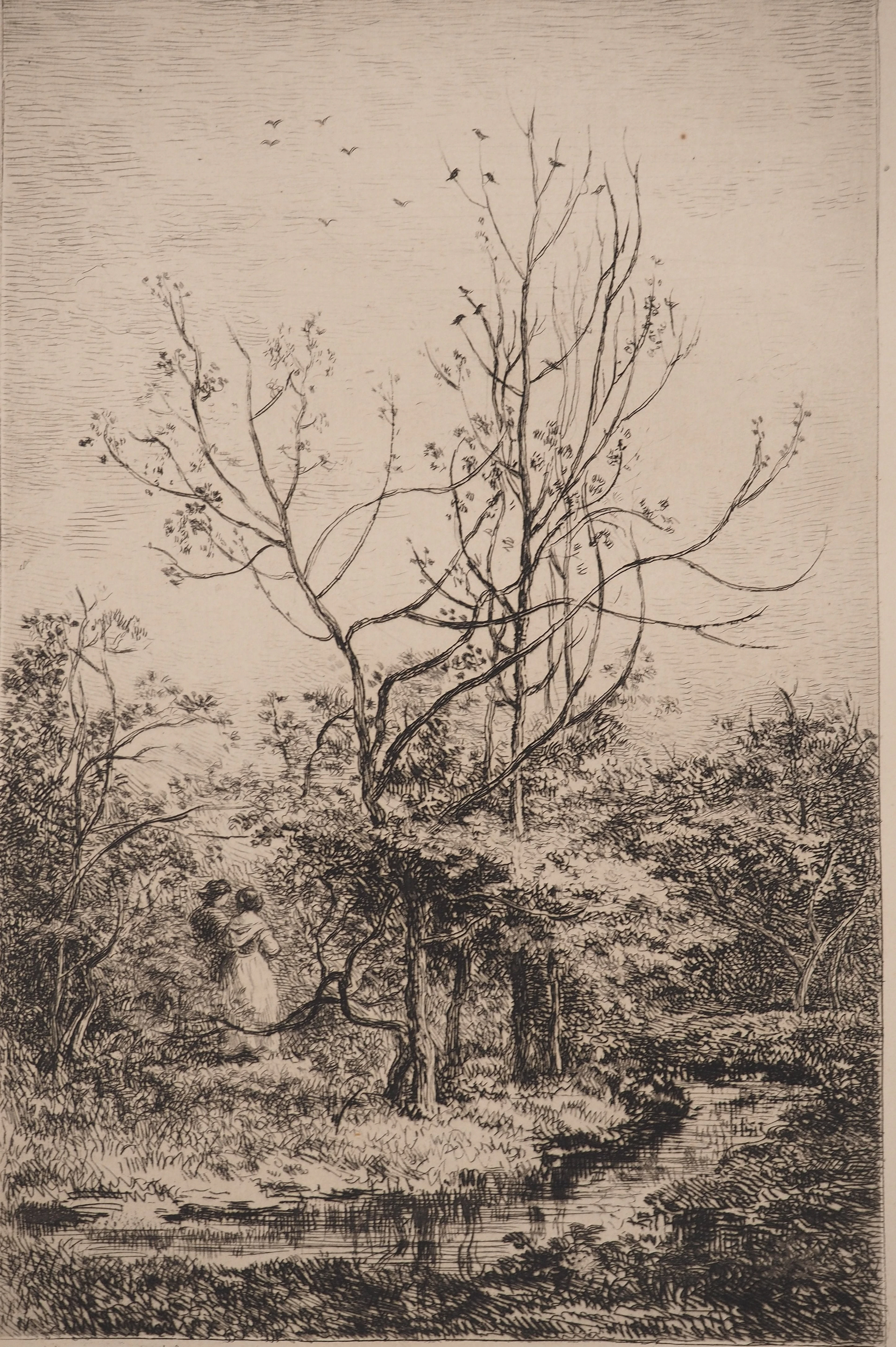 Charles François DAUBIGNY : Le verger, Gravure originale signée