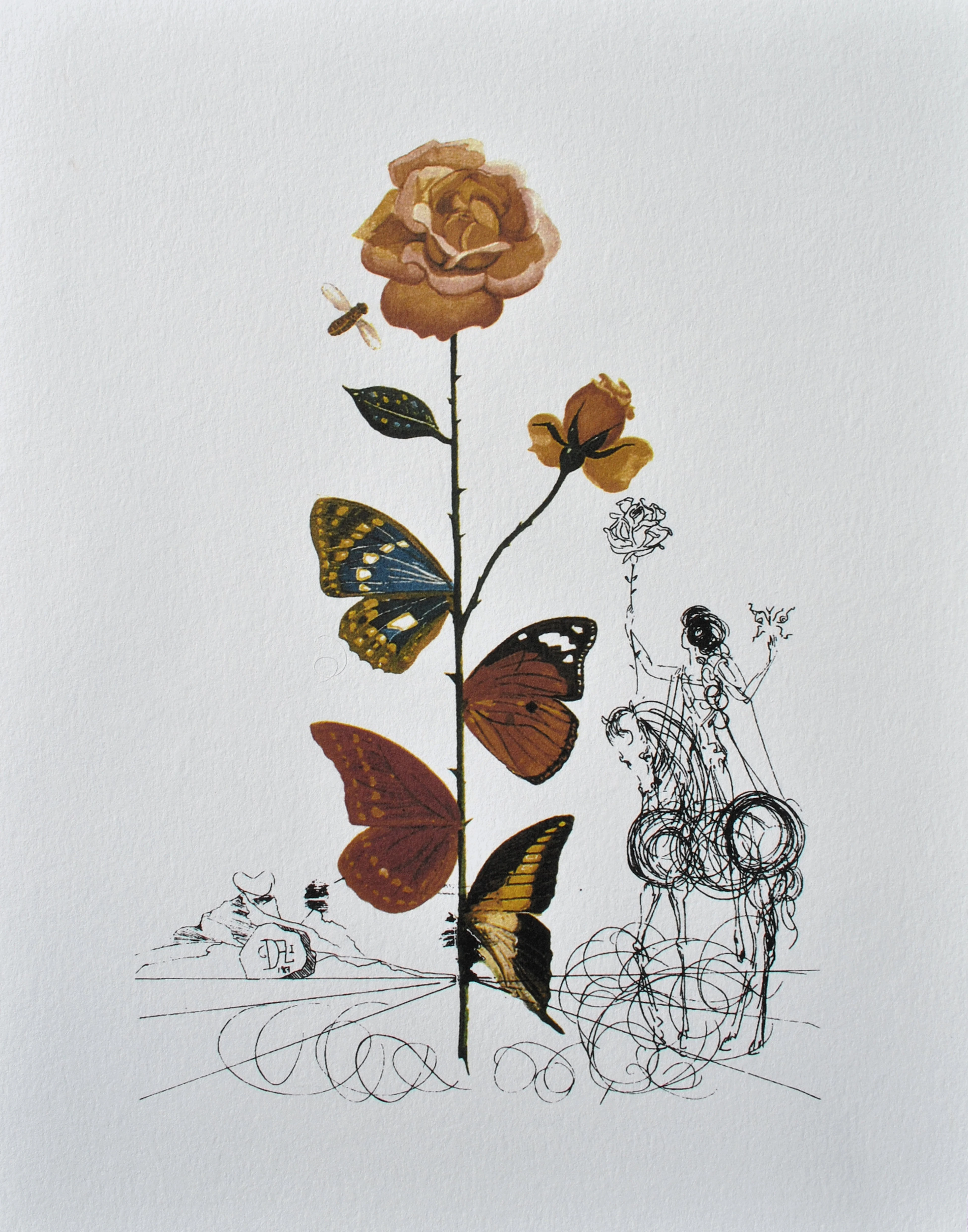 Salvador DALI : La rose papillon, 1979, Lithographie signée