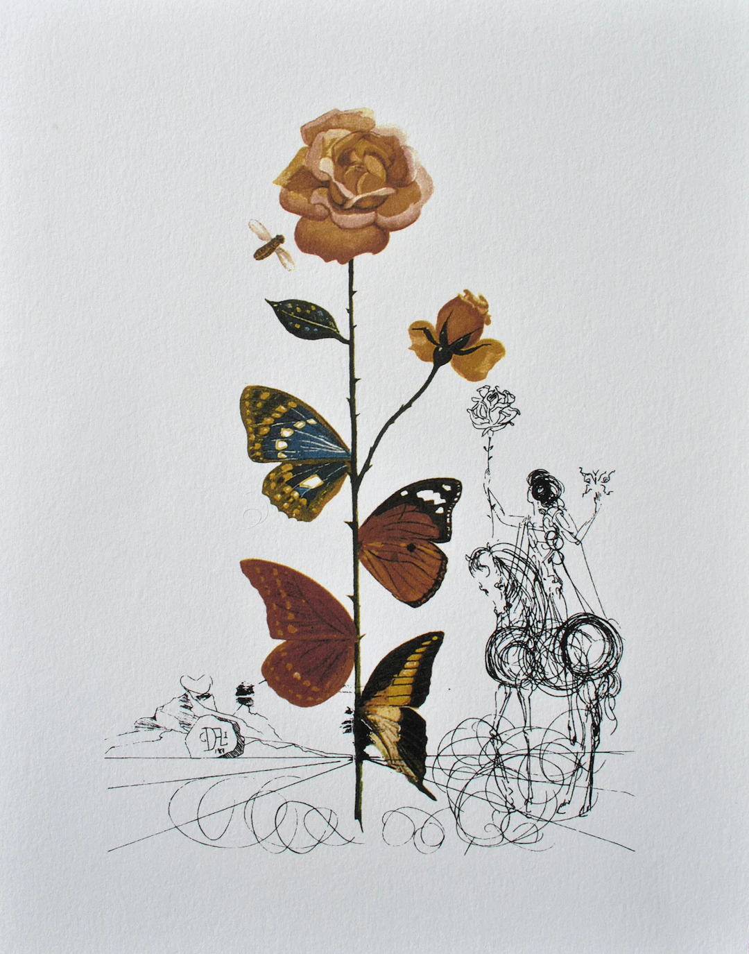 Salvador DALI : La rose papillon, 1979, Lithographie signée