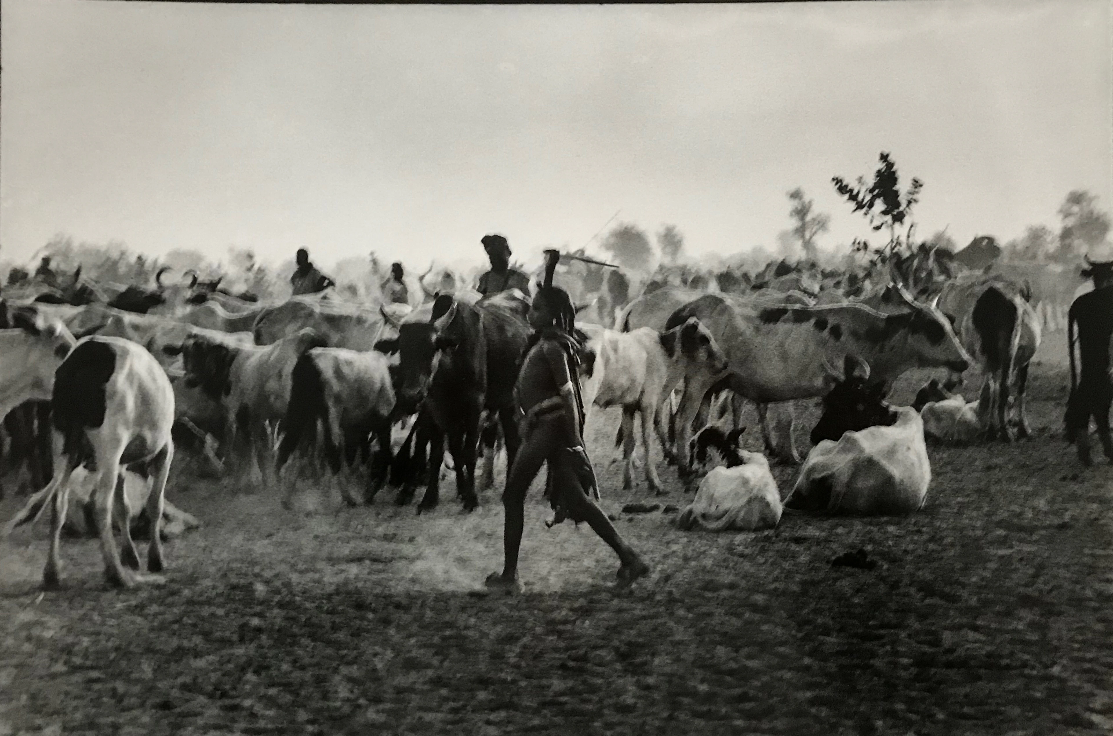 José Nicolas - Jeune hadjeray, Tchad, 1980 - Tirage argentique