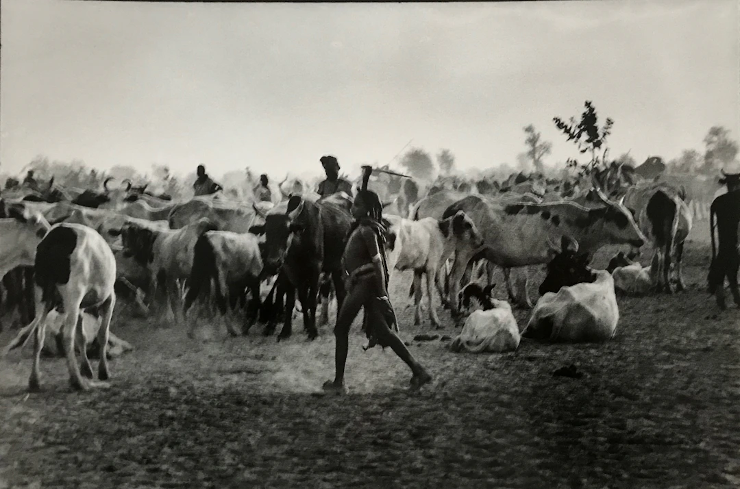 José Nicolas - Jeune hadjeray, Tchad, 1980 - Tirage argentique
