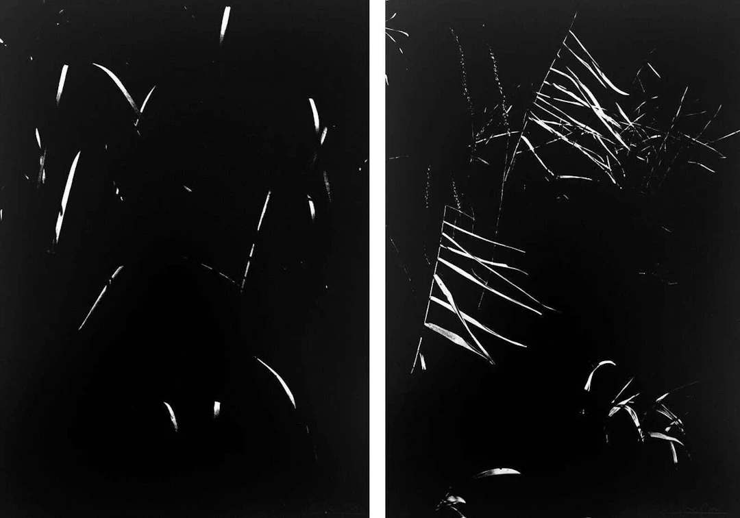 Lucien Clergue - La Camargue Secrète - Héliogravure