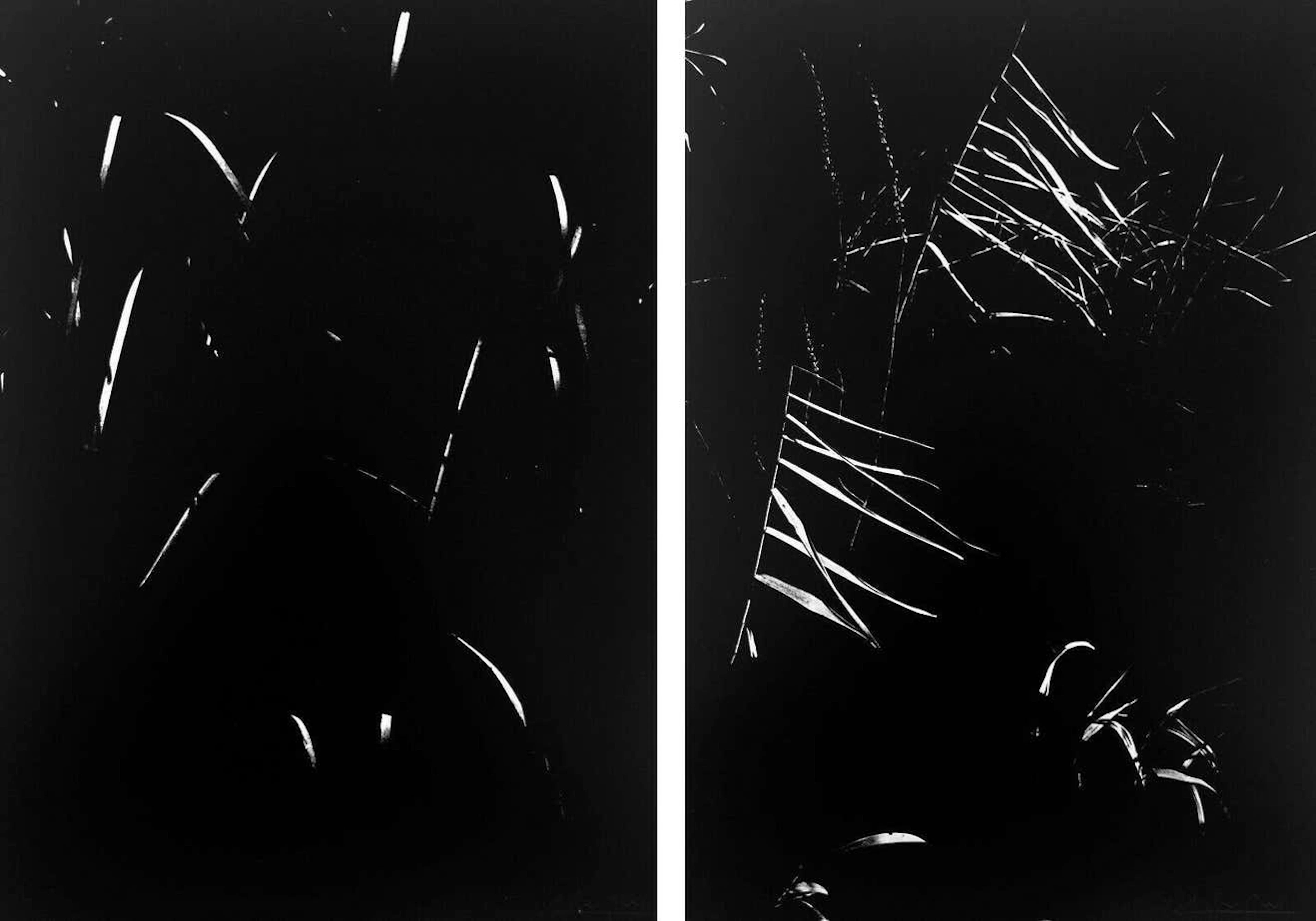 Lucien Clergue - La Camargue Secrète - Héliogravure