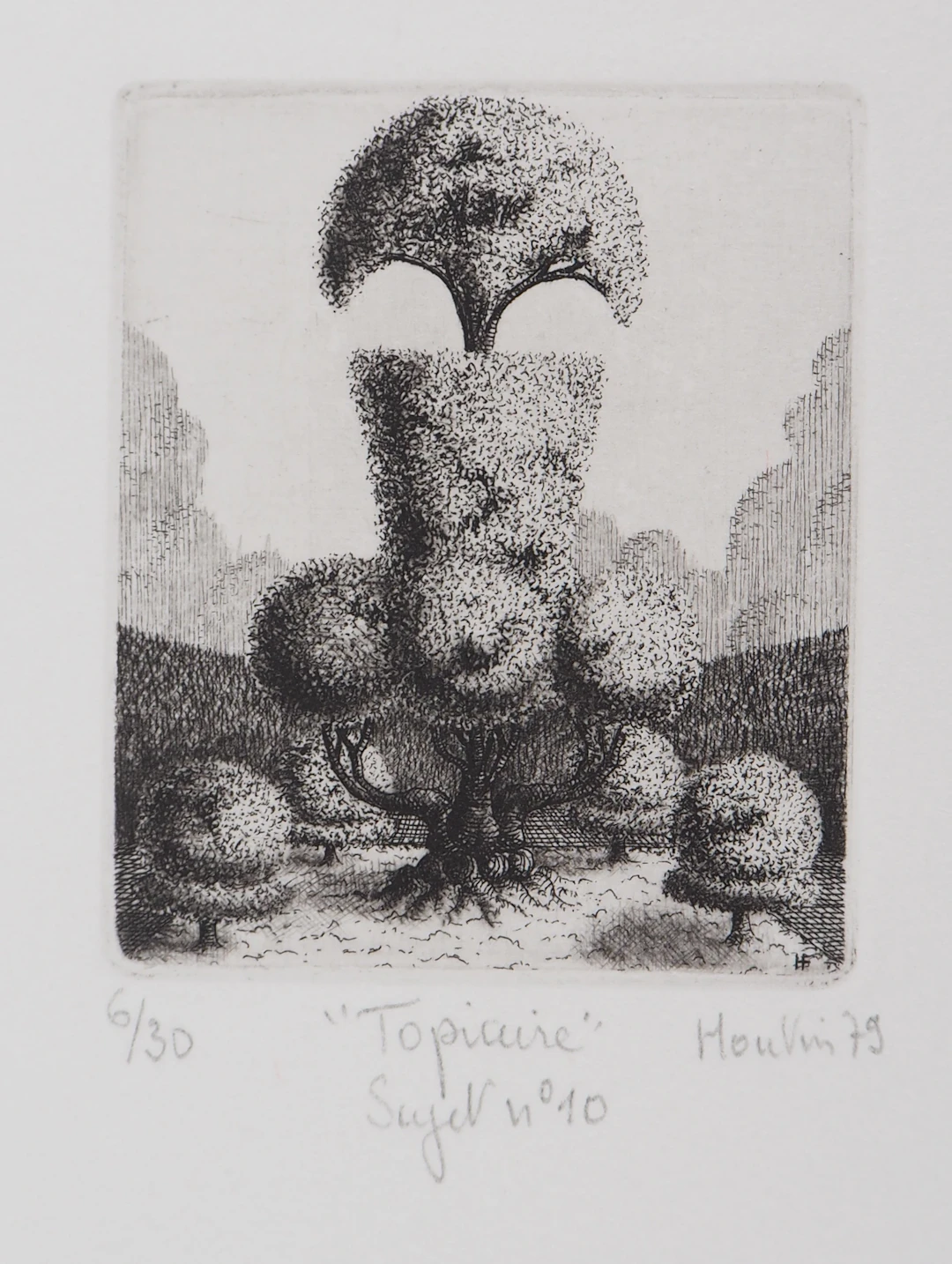 François HOUTIN : Topicure n°10 - Gravure Originale Signée