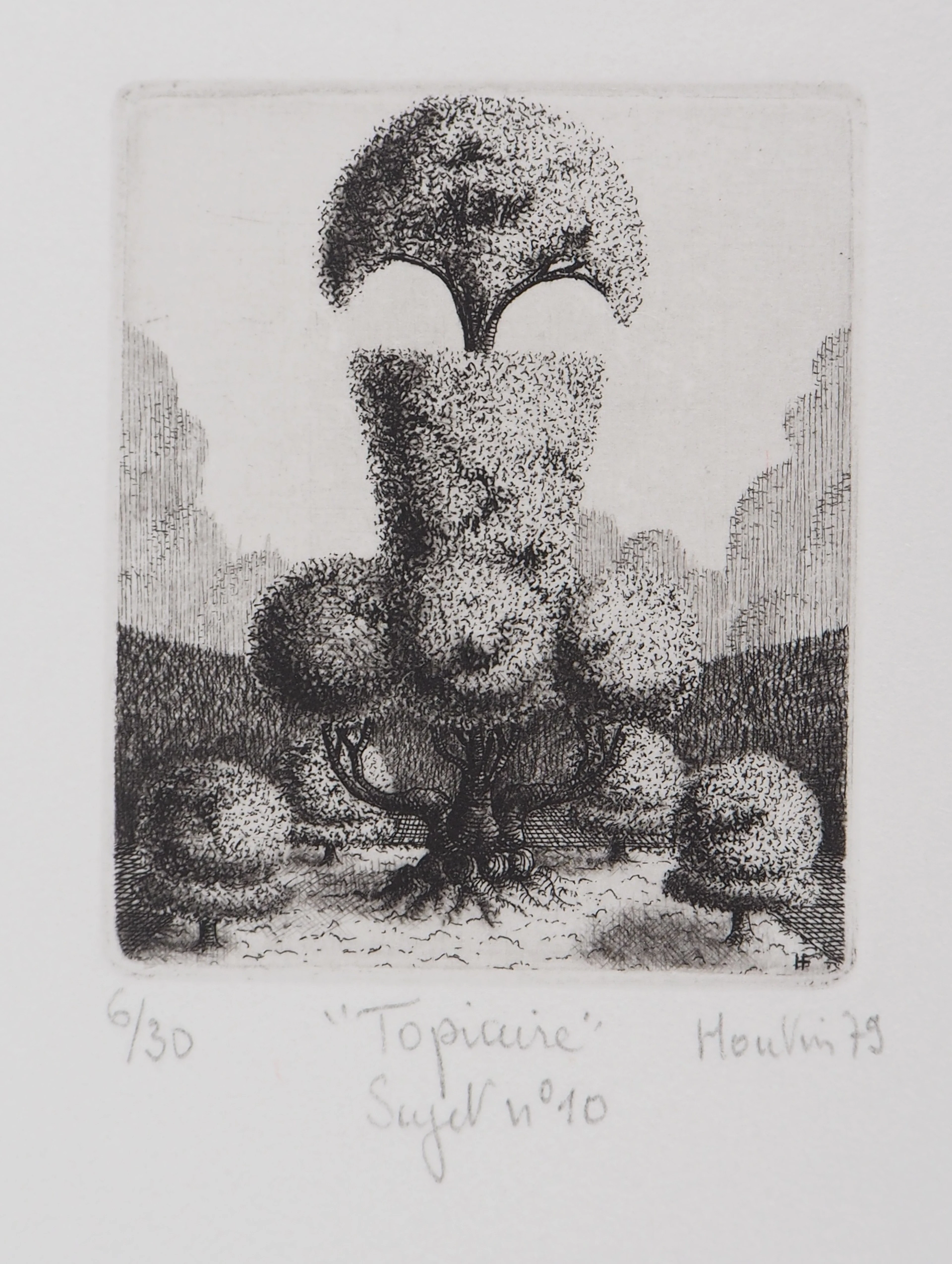 François HOUTIN : Topicure n°10 - Gravure Originale Signée