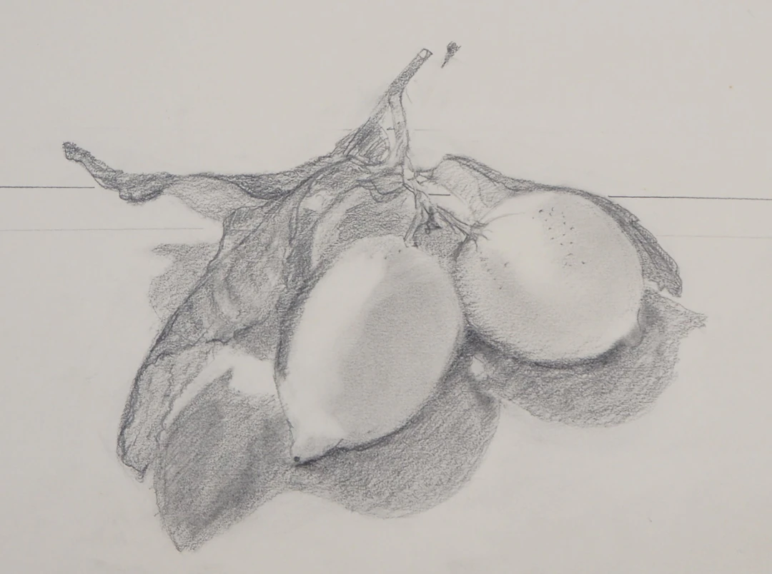 Lily MASSON : Olives, 1983 - Dessin au crayon original signé