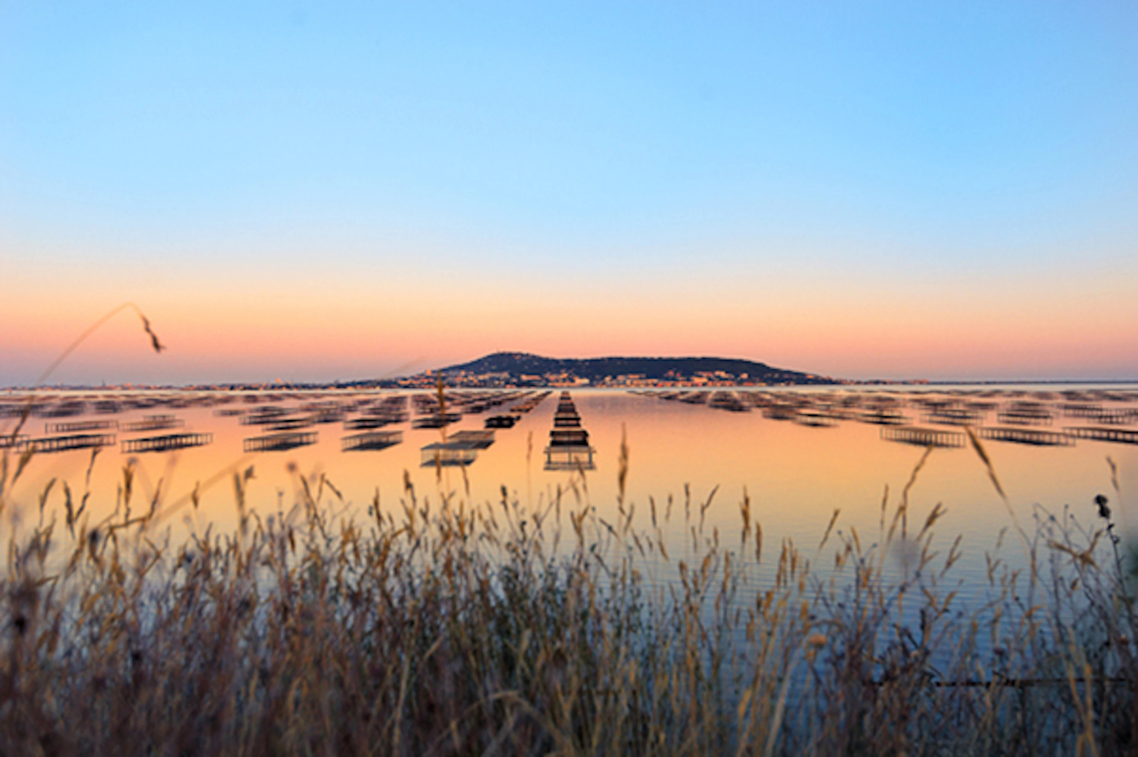 Claude CRUELLS - Crépuscule, Photographie