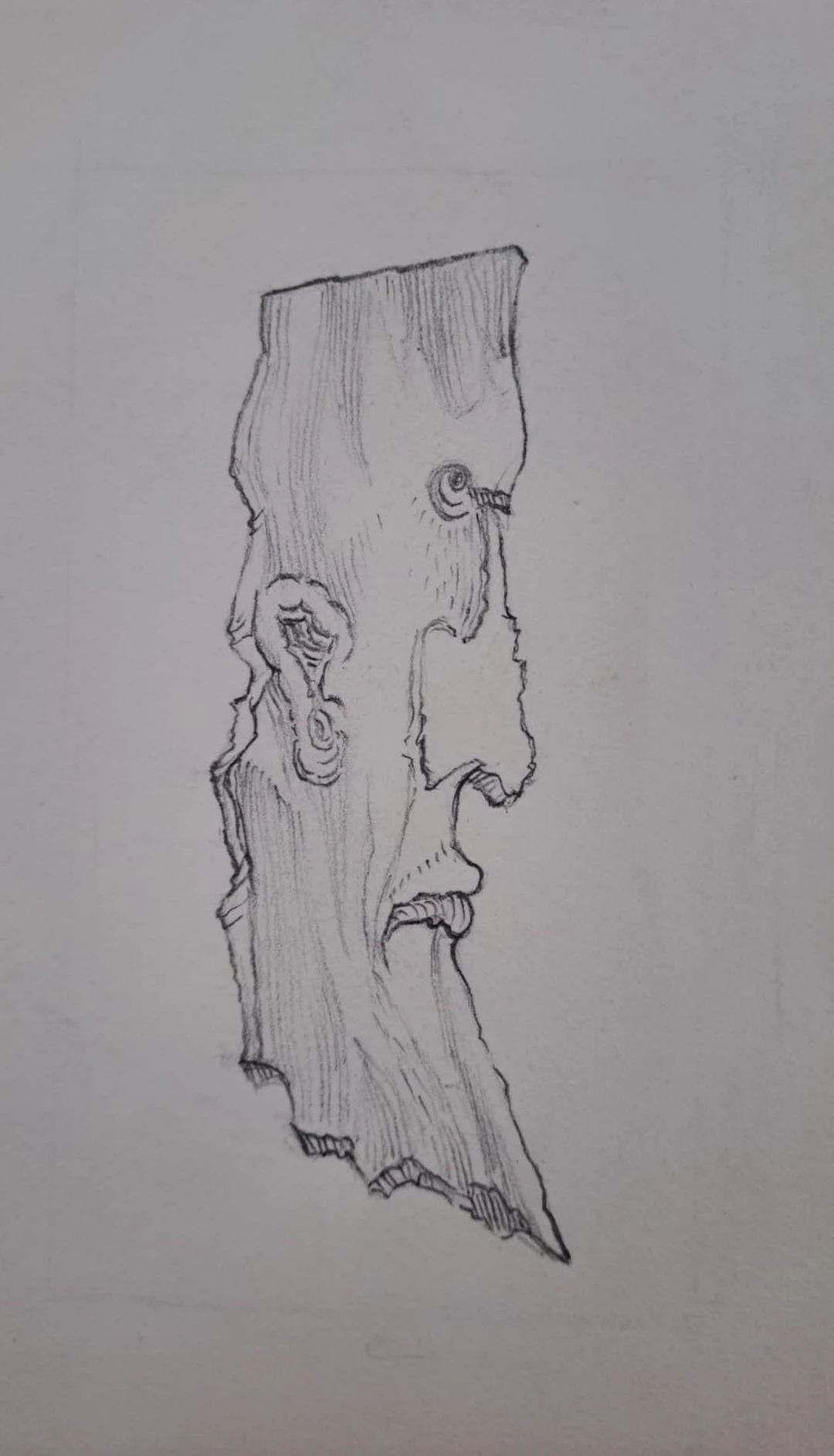 Ecole Contemporaine - Homme de profil - Dessin au crayon