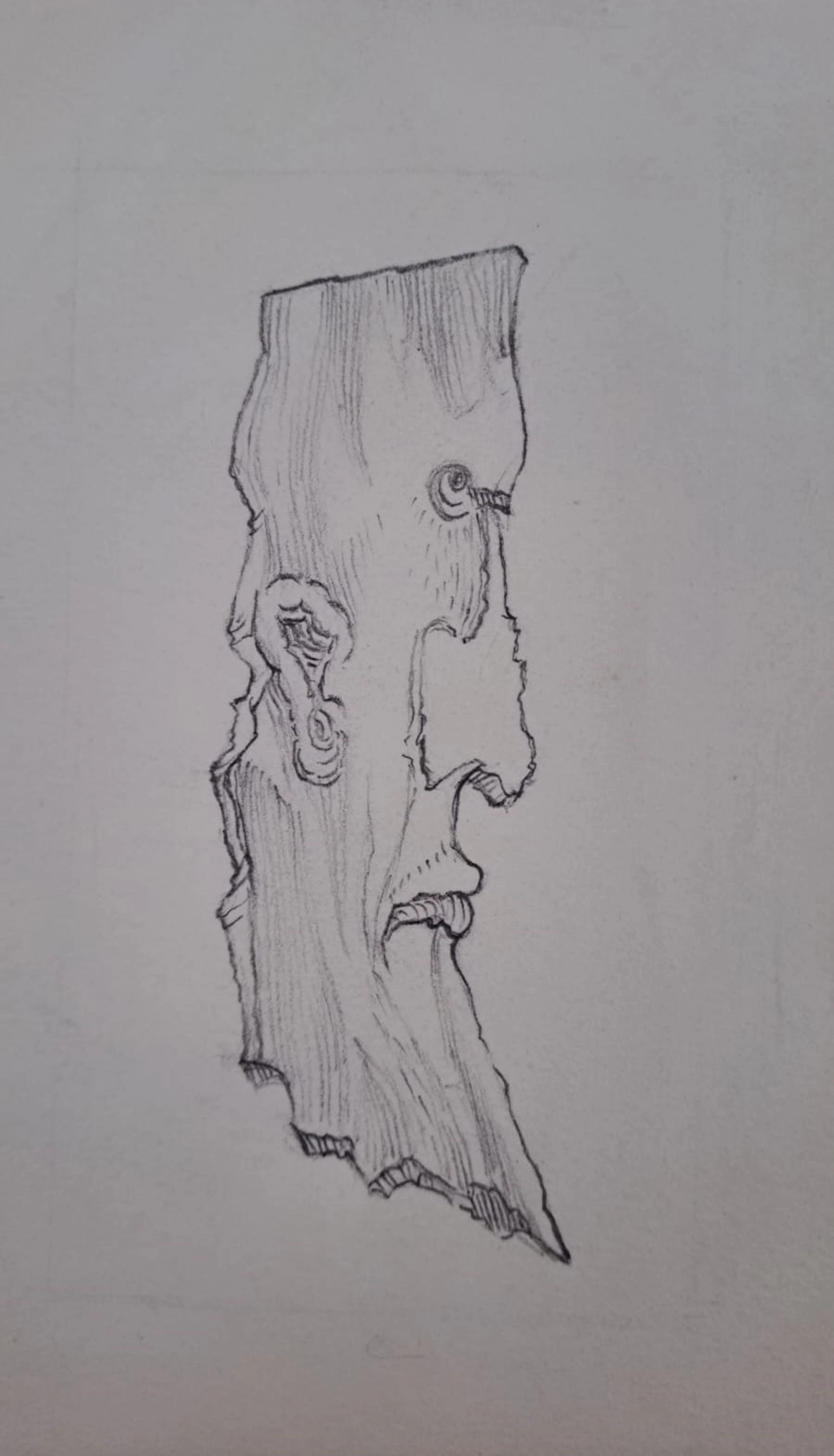 Ecole Contemporaine - Homme de profil - Dessin au crayon