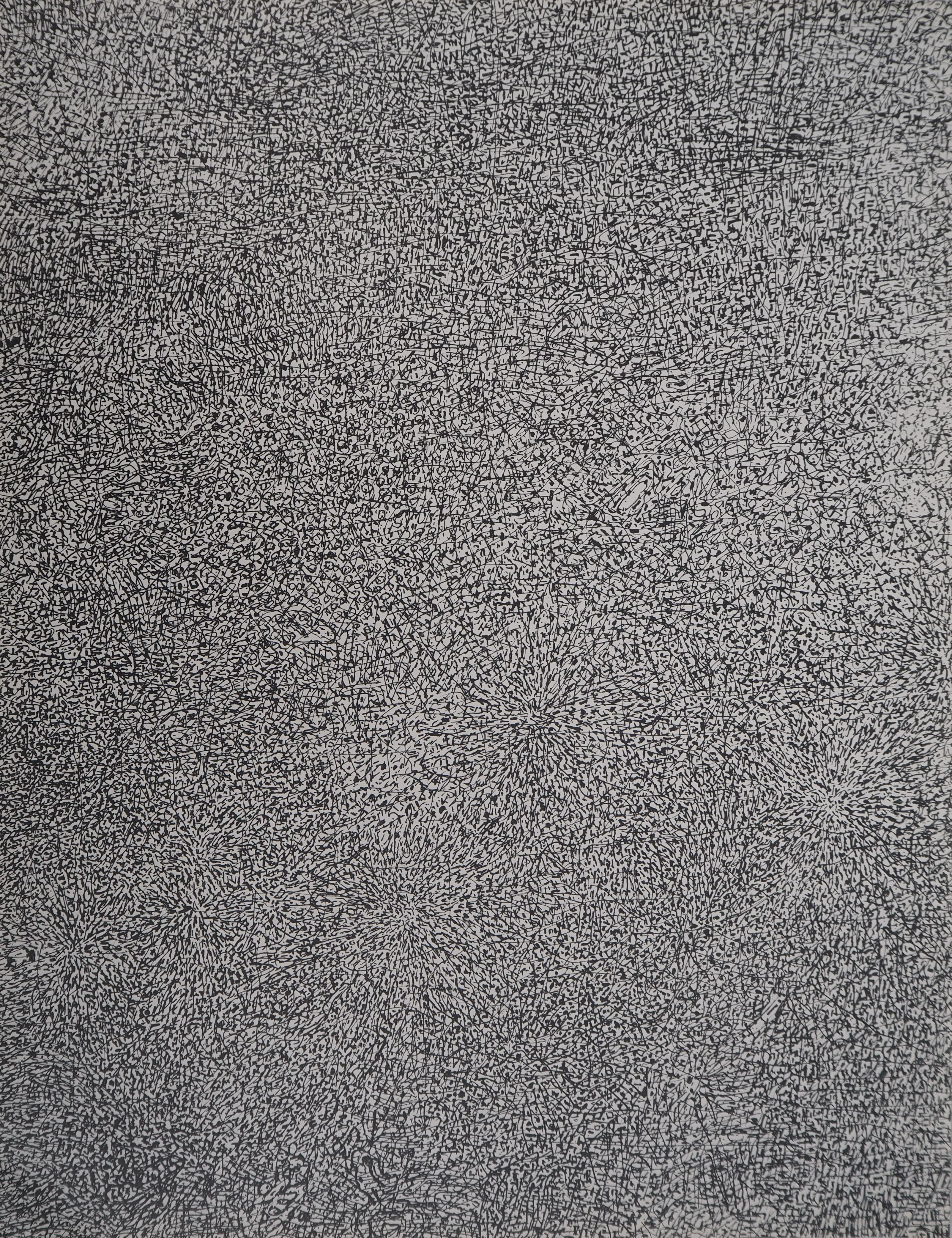Jean DUBUFFET - Prairie de Barbe, 1960 - Sérigraphie