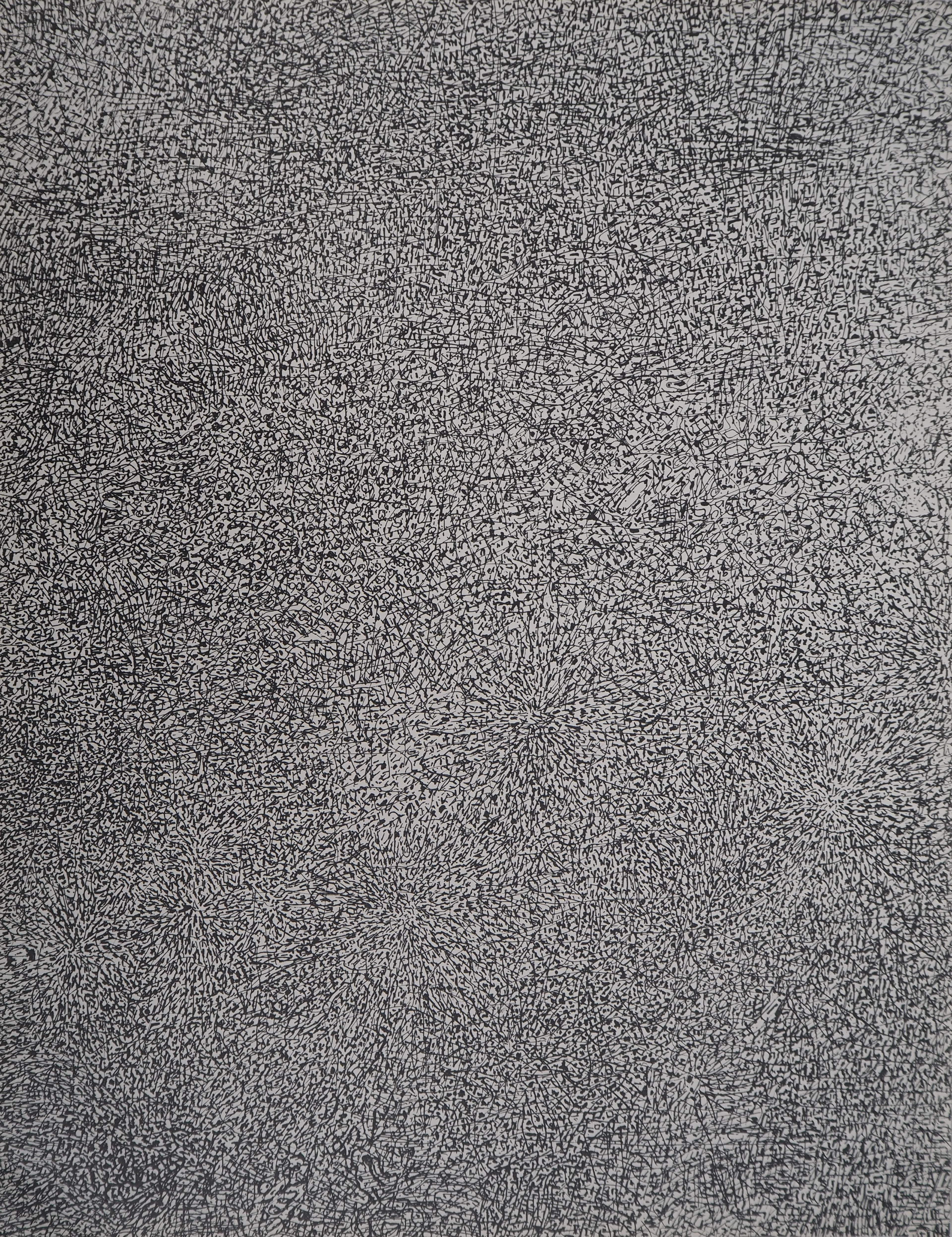 Jean DUBUFFET - Prairie de Barbe, 1960 - Sérigraphie