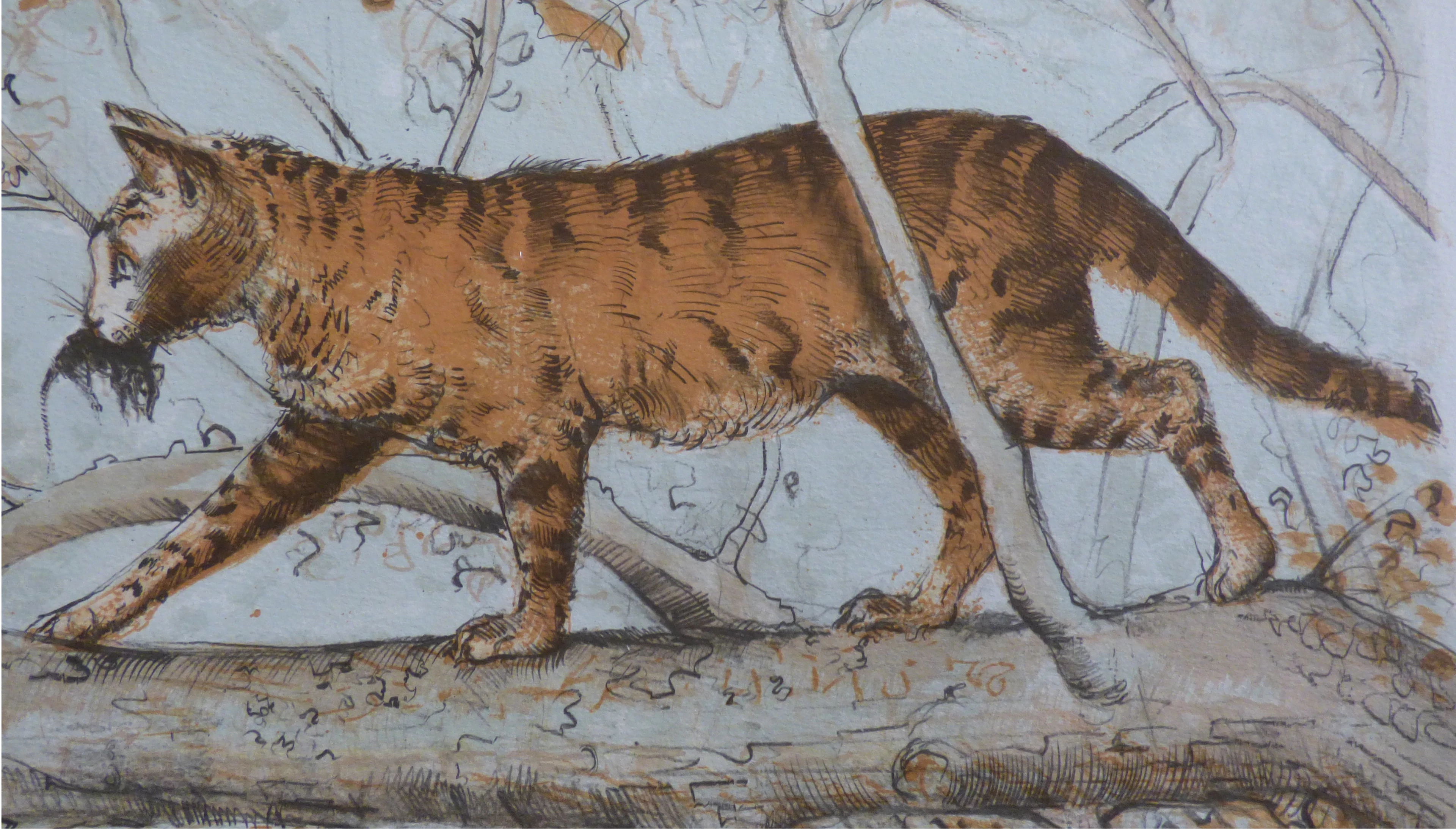 Blaise PRUD’HON - Le chat - Lithographie originale signée