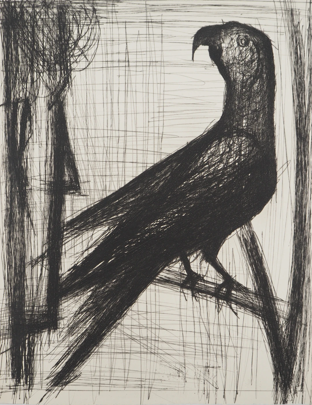 Bernard BUFFET : Le perroquet, Gravure originale
