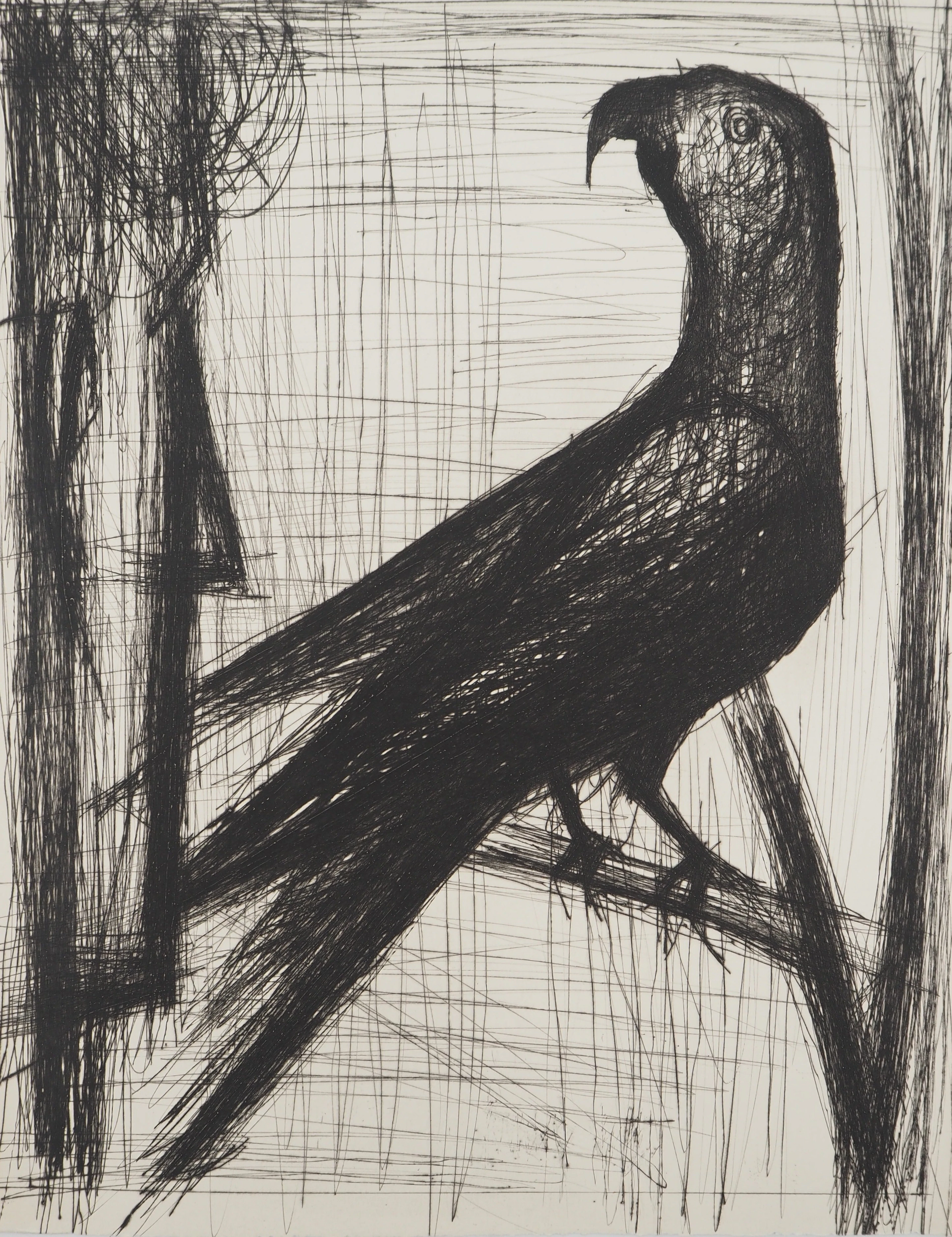 Bernard BUFFET : Le perroquet, Gravure originale