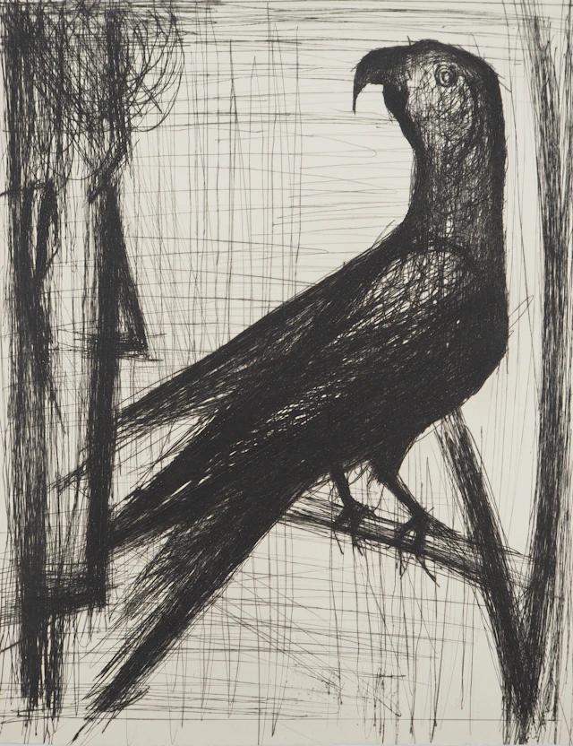Bernard BUFFET : Le perroquet, Gravure originale