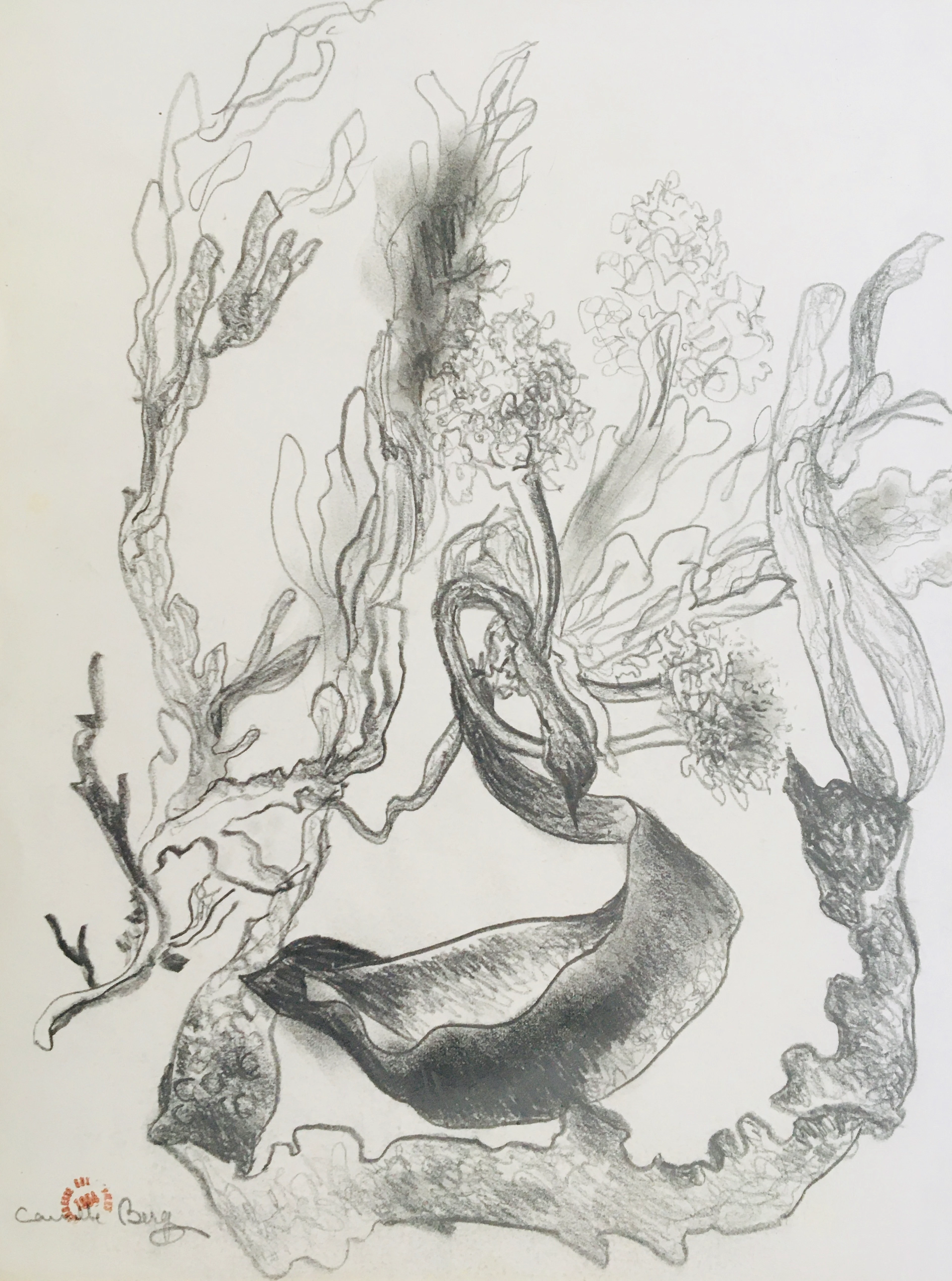 Camille BERG - Composition, 1954 - Dessin original signé