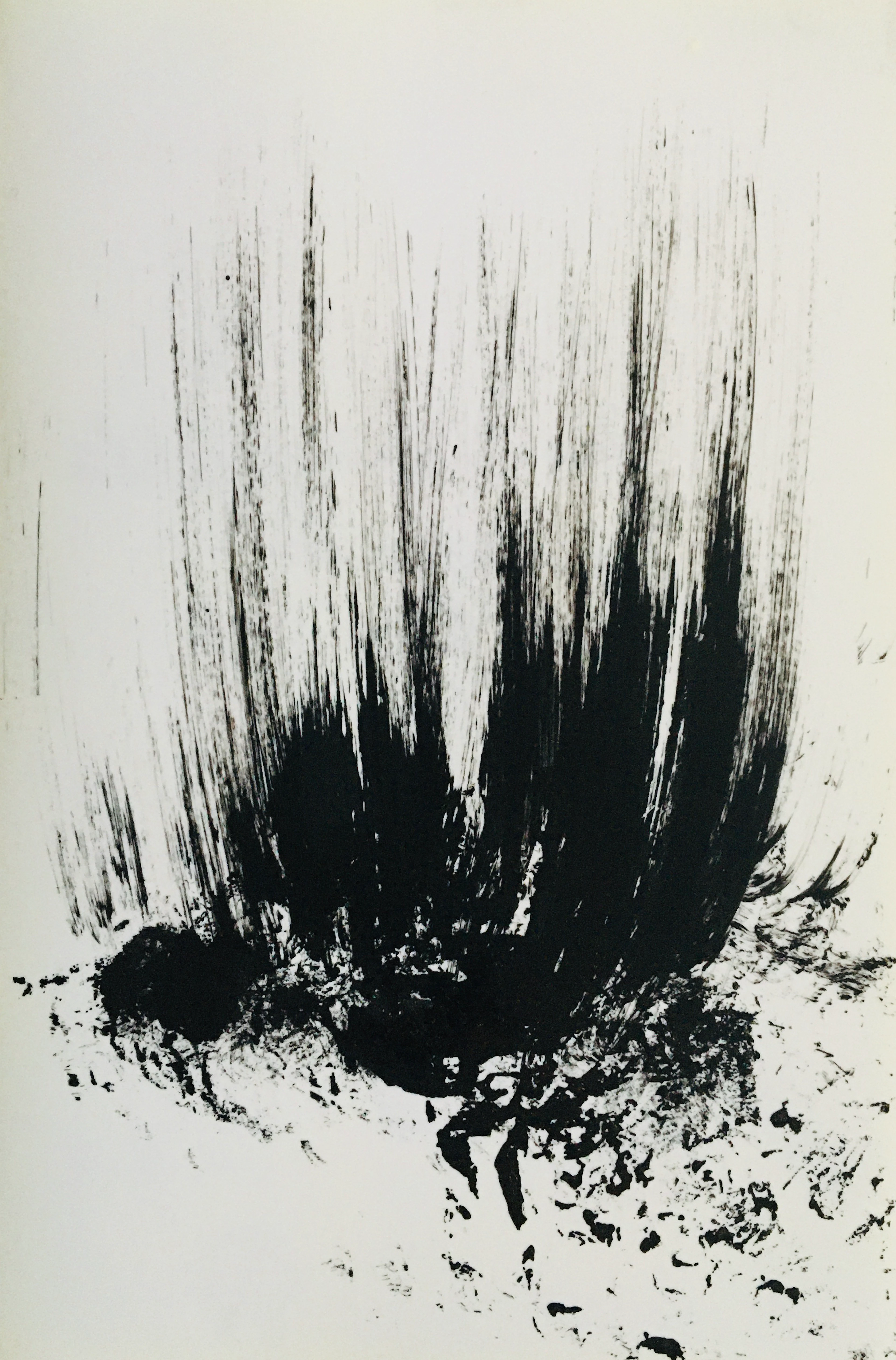 Philippe COGNEE - Broussailles, 2016 - Dessin signé