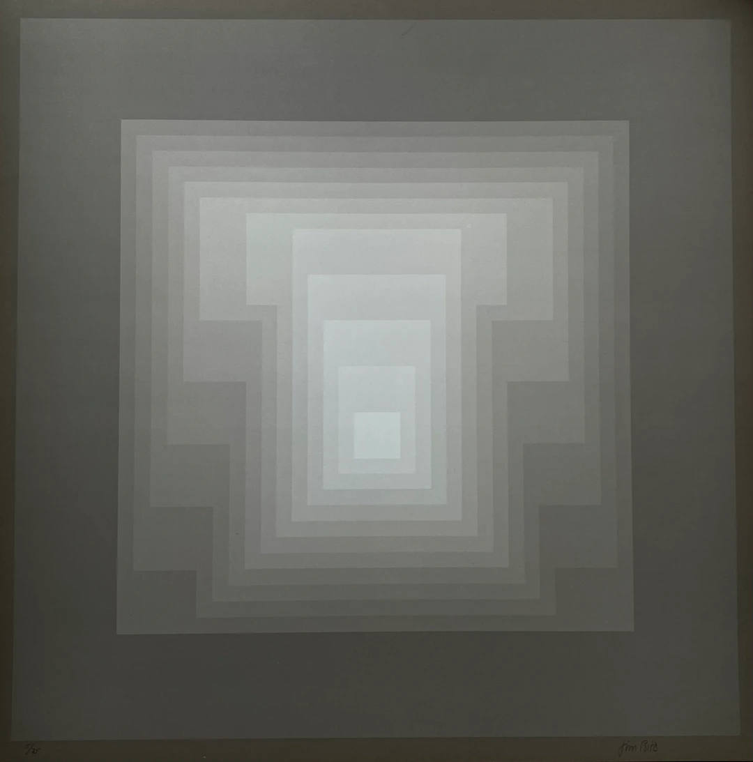 Jim Bird - tribute to Vasarely
